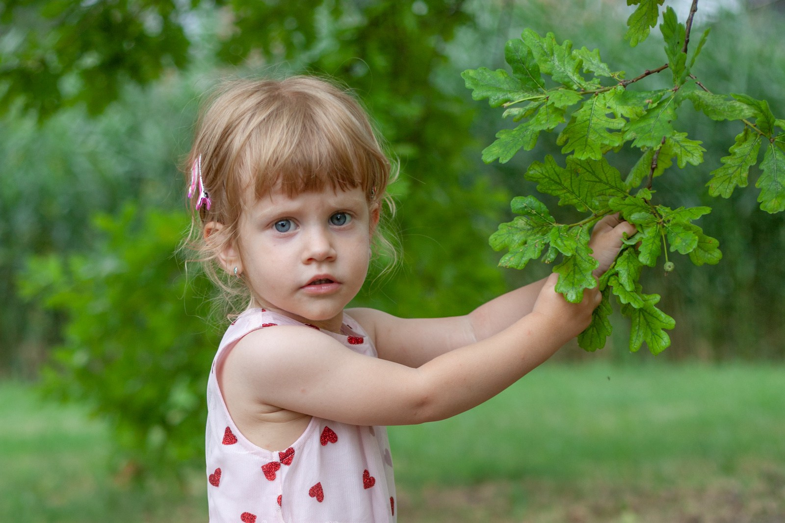 Porodica Komarek. Miroslav Lukić, fotograf za vaše važne trenutke
