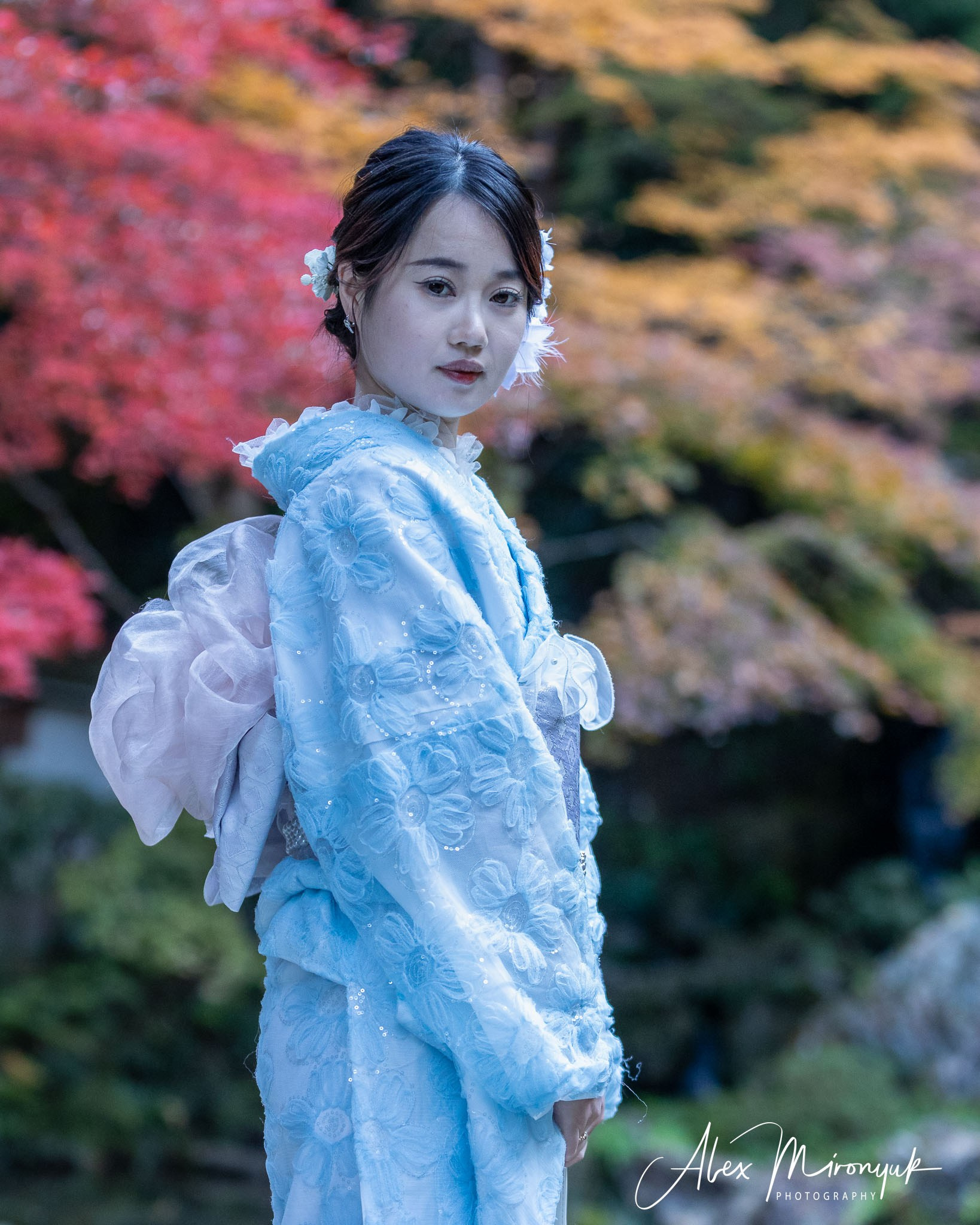 Autumn Colors of Japan. Pet, Senior, Landscape, portrait studio, photographer in Miami and Sou