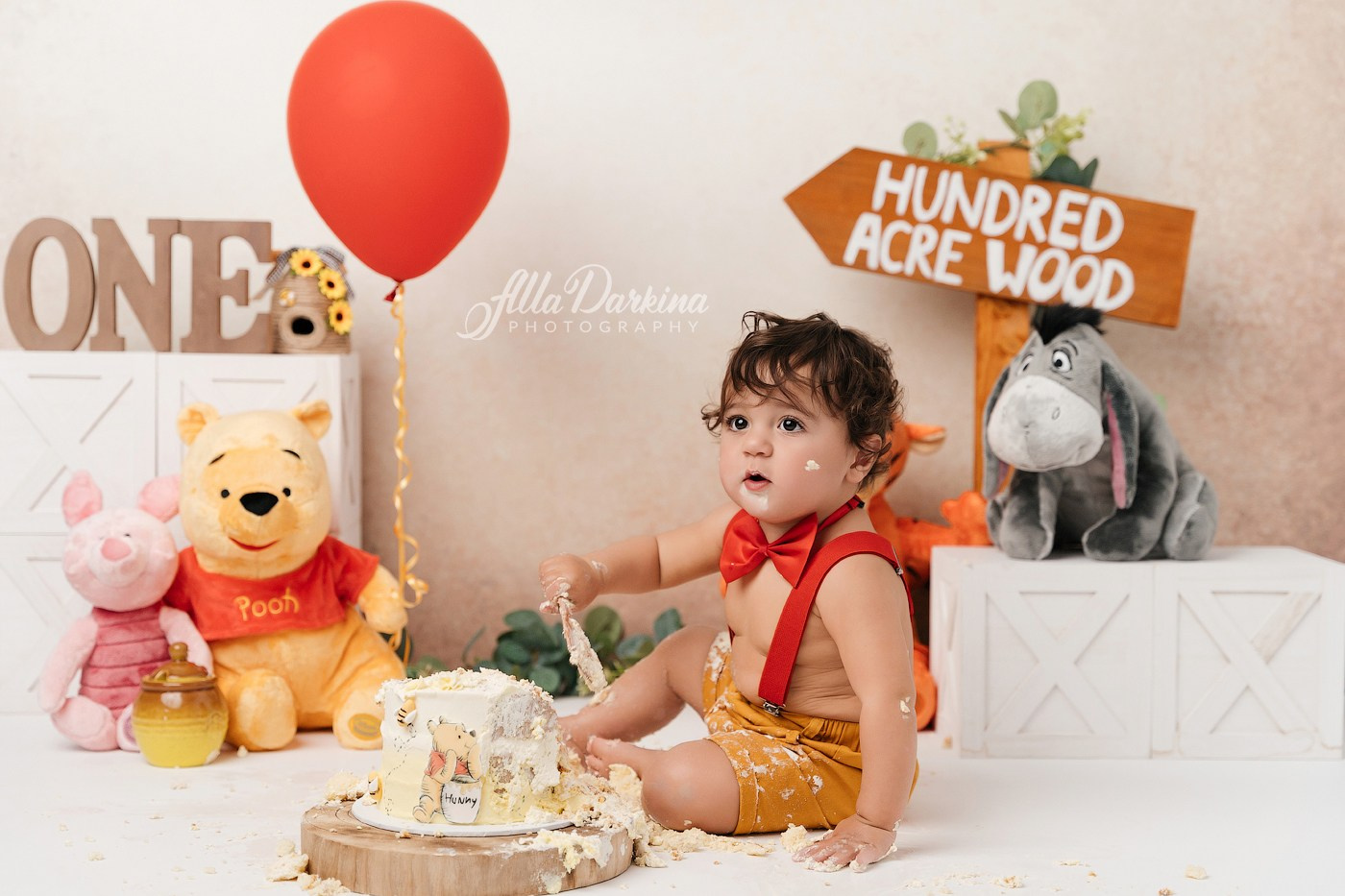 Winnie The Pooh cake smash session. Newborn and family photographer. Hills District. Sydney
