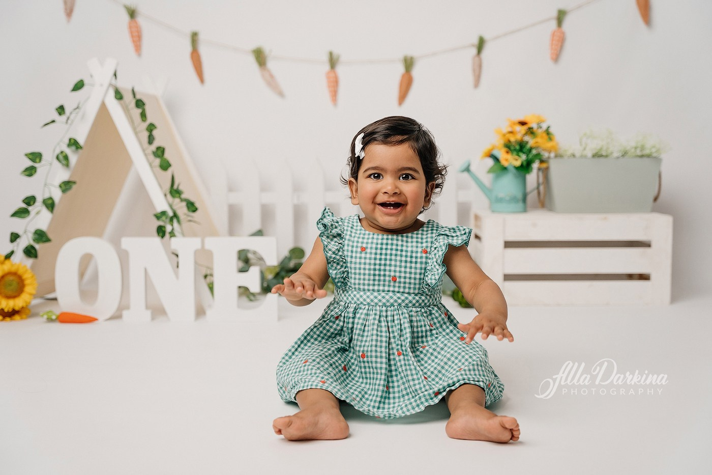 First birthday celebration. Newborn and family photographer. Hills District. Sydney