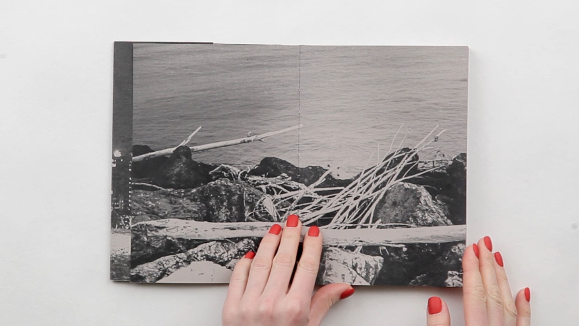 Safari. Marta Ladokhina