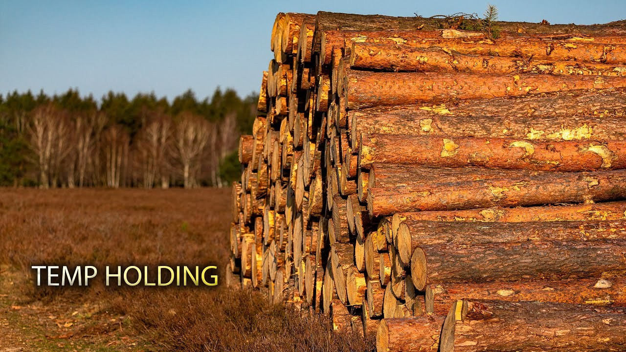 Крупный бизнес и промышленность