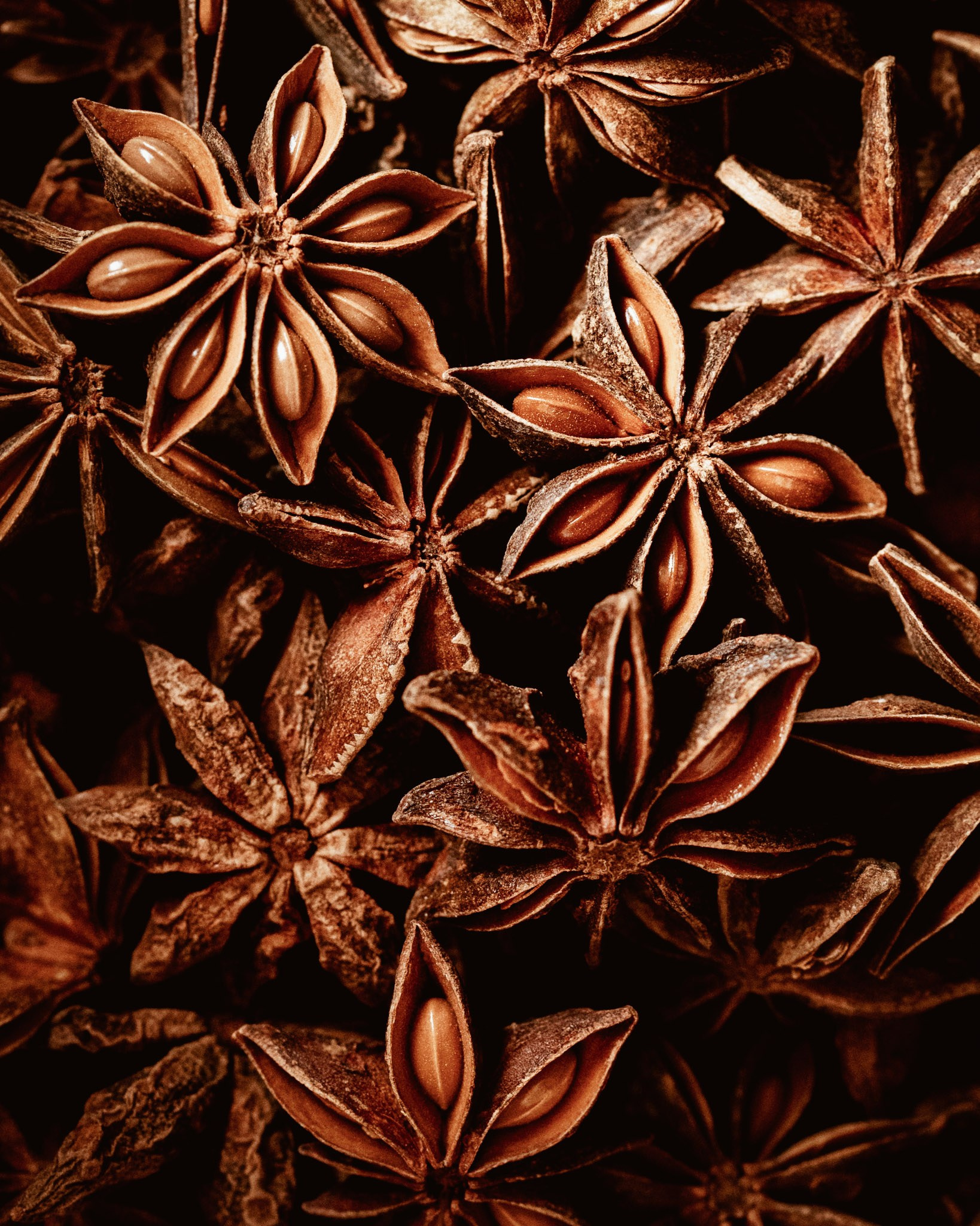 Familienfotografin aus Sterzing Elena Muehlsteiger