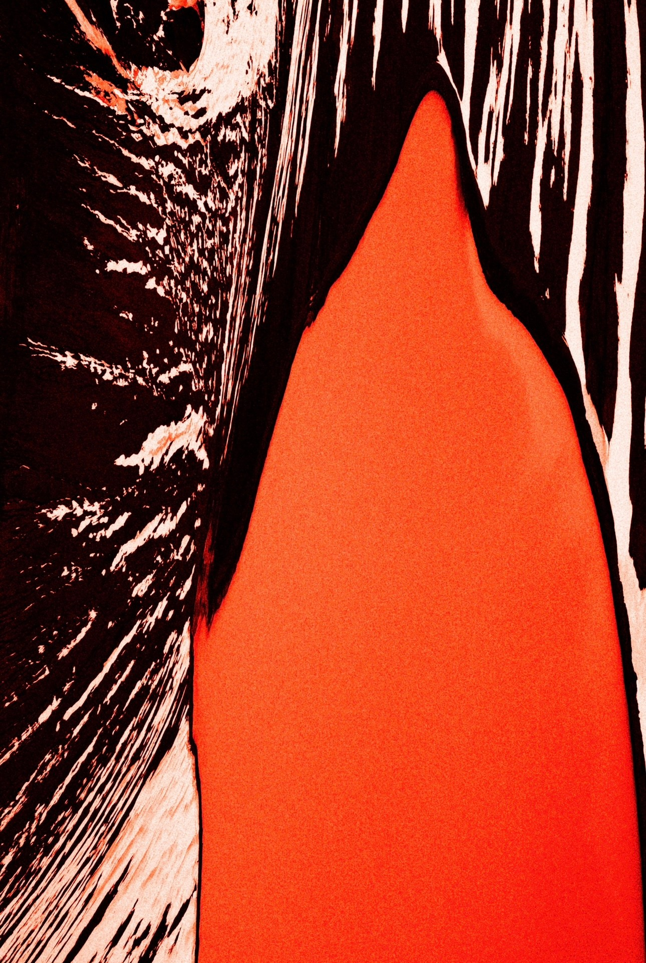 FEVER. Paulina Zhur — Visual Artist