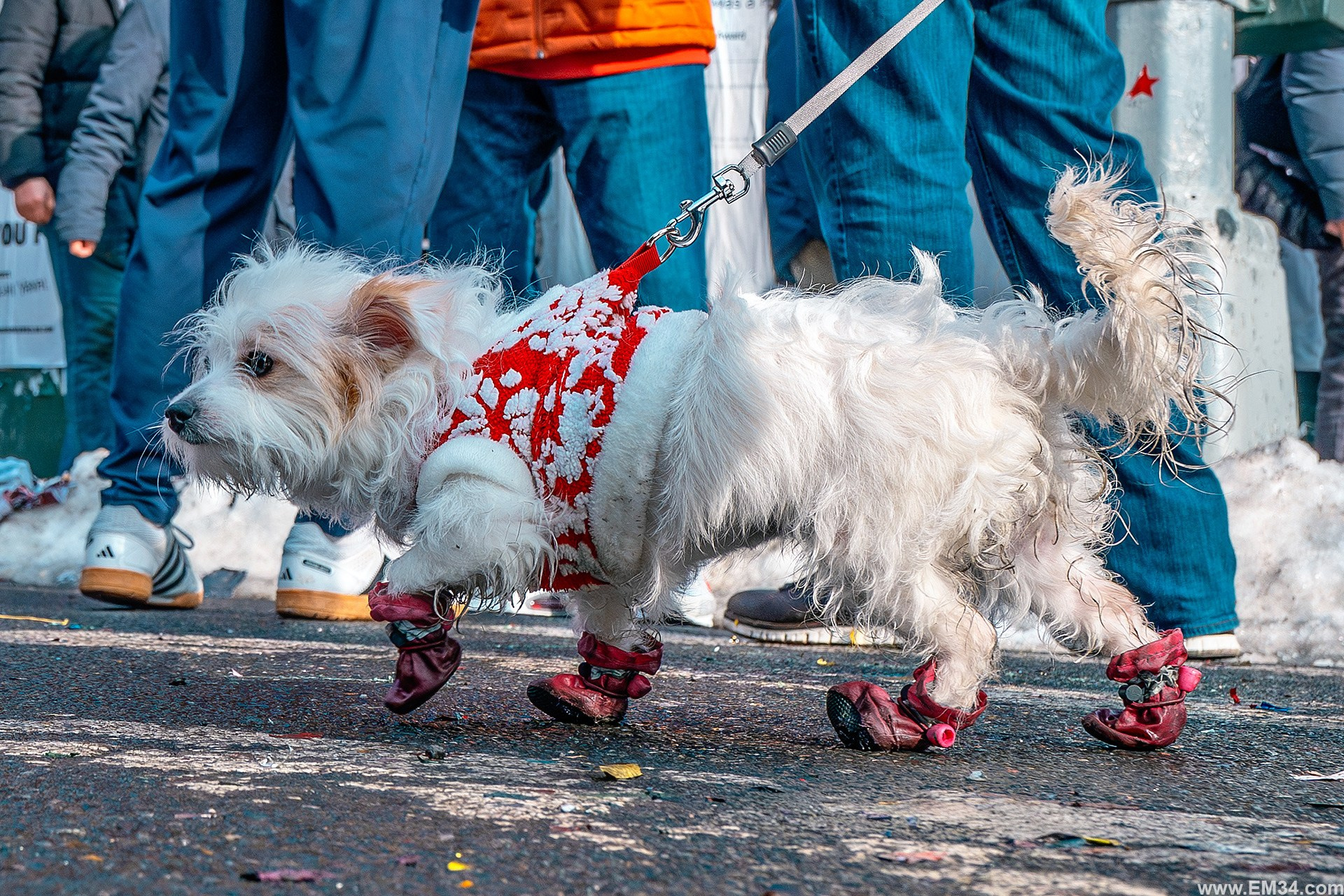 Lunar New Year Chinatown Street Photography — Chaotic NYC Festival Captured in One Hour of Firecrackers, Color & Energy. Emin Kuliyev — Award-Winning Wedding Photojournalist NYC & USA | Best Wedding Photographer Known for Candid, Timeless Moments