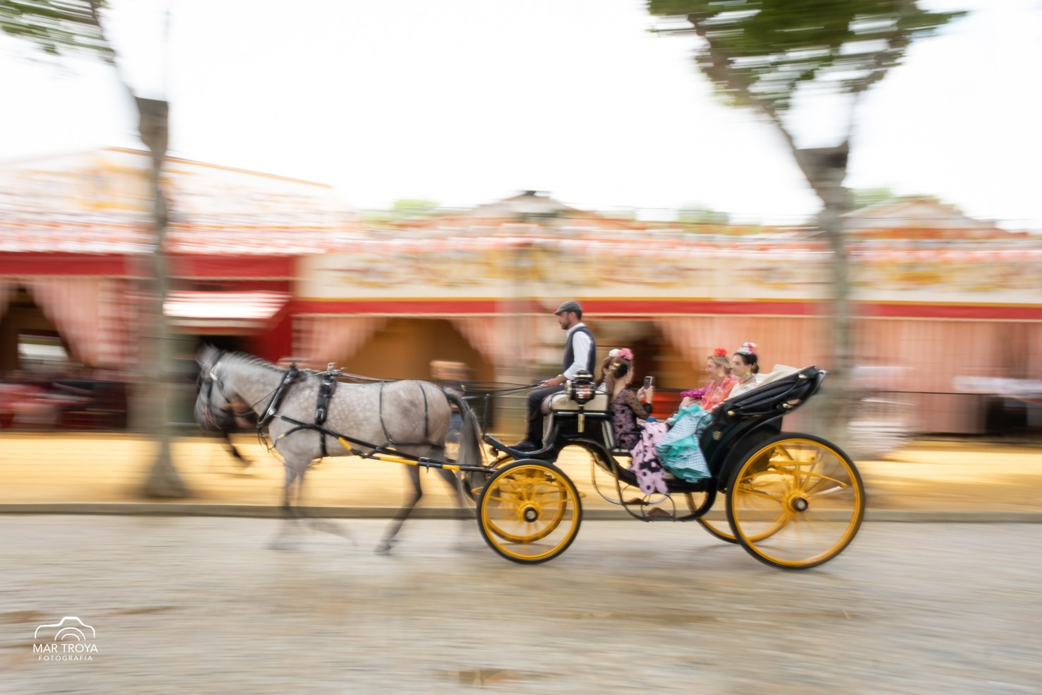 Cosas de peludos. Fotos con huella, fotografía de perros y mascotas en Sevilla