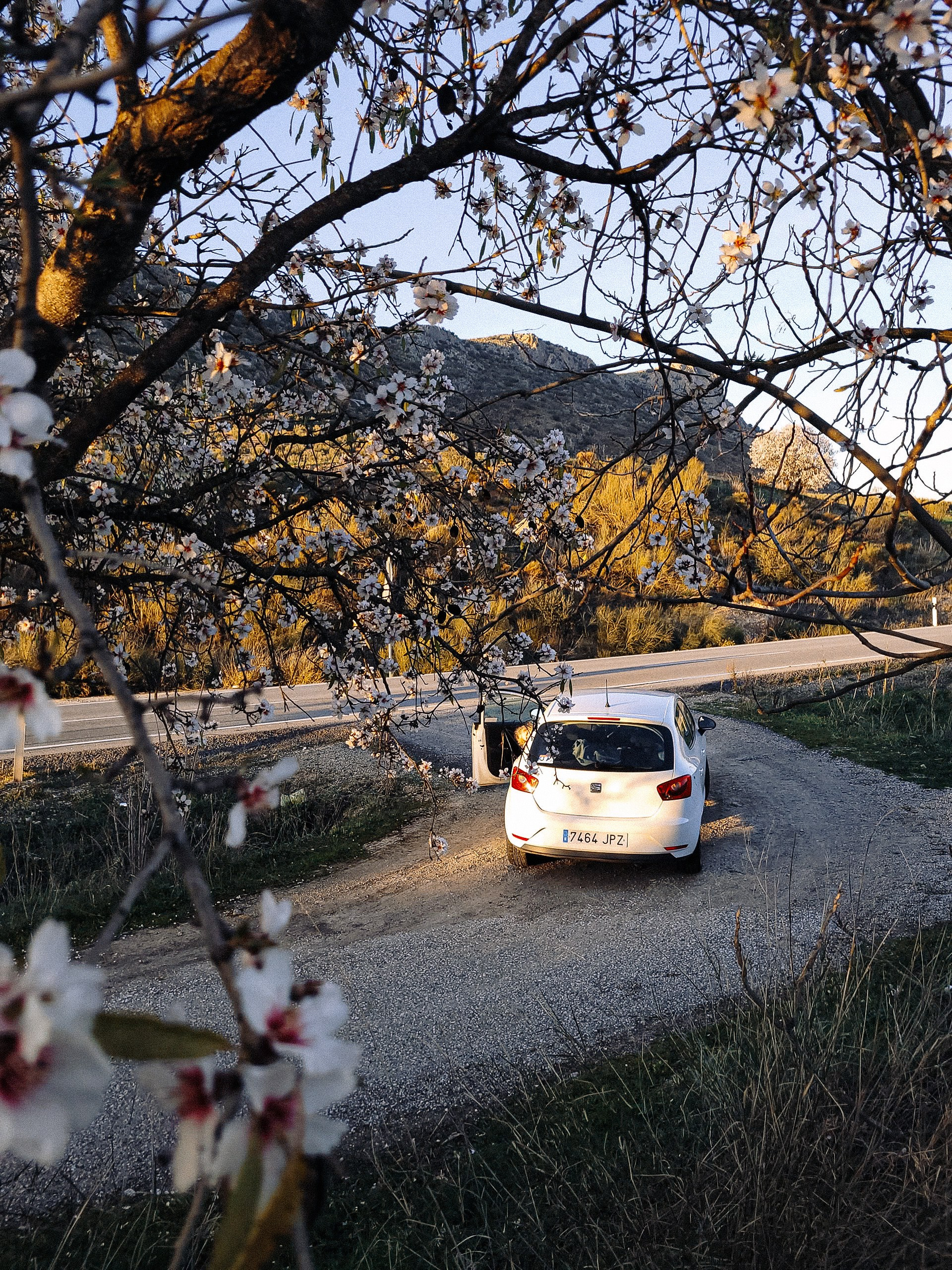 CEĻOJUMS SPĀNIJA, MALAGA AR BĒRNIEM
