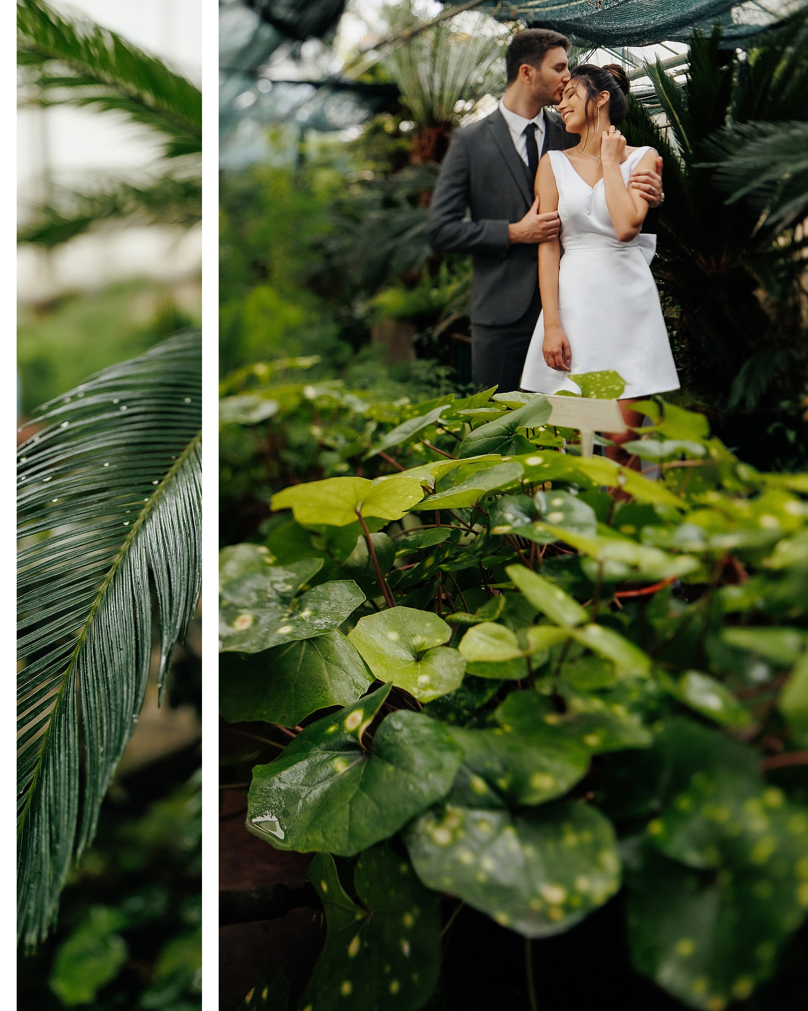 Galerie. Servicii Foto Video în Chișinău și Europa ID-Brothers