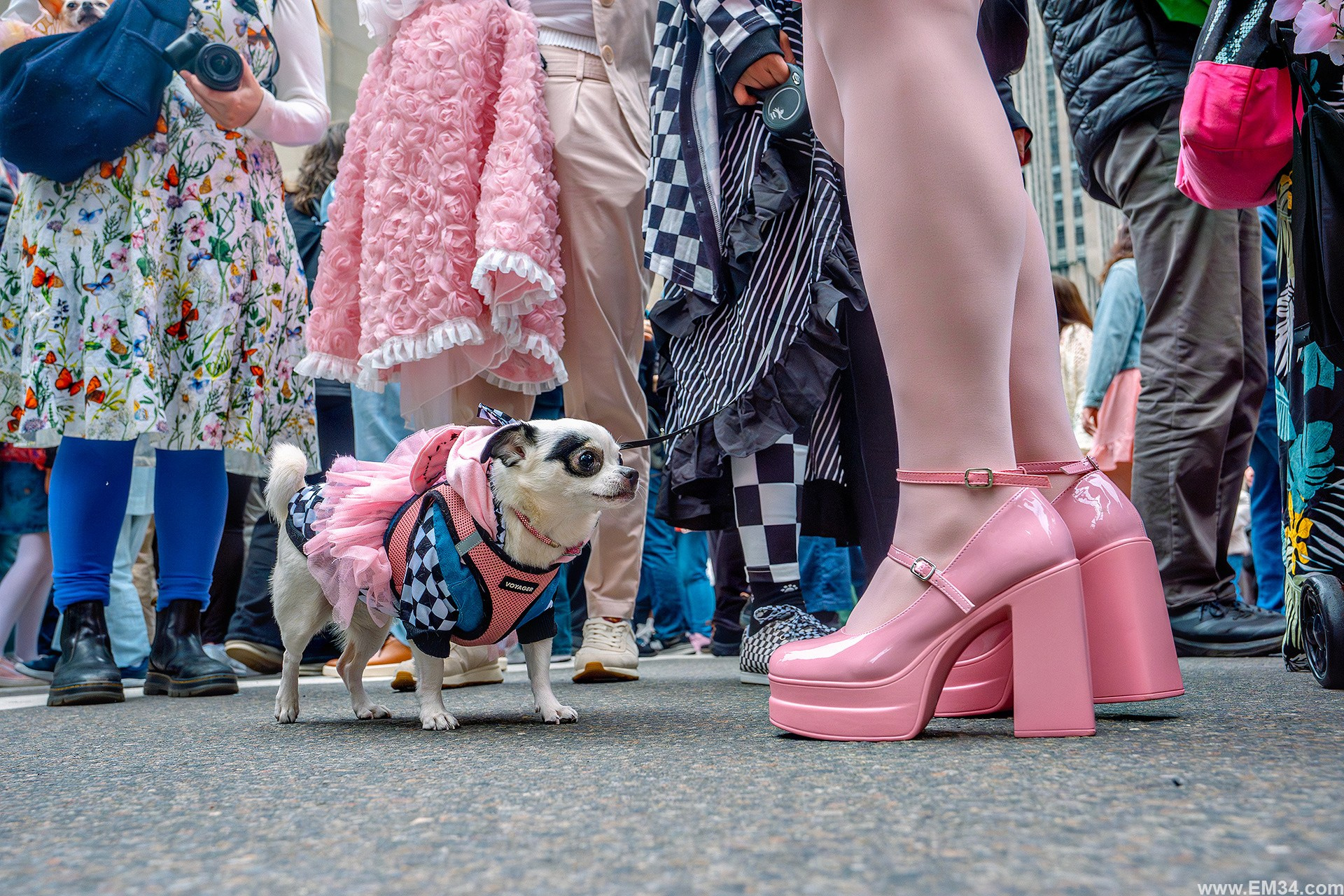 Easter Sunday in New York: strange outfits, passing faces, and moments in between. Emin Kuliyev — Award-Winning Wedding Photojournalist NYC & USA | Best Wedding Photographer Known for Candid, Timeless Moments