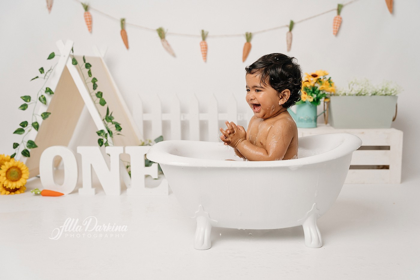 First birthday celebration. Newborn and family photographer. Hills District. Sydney
