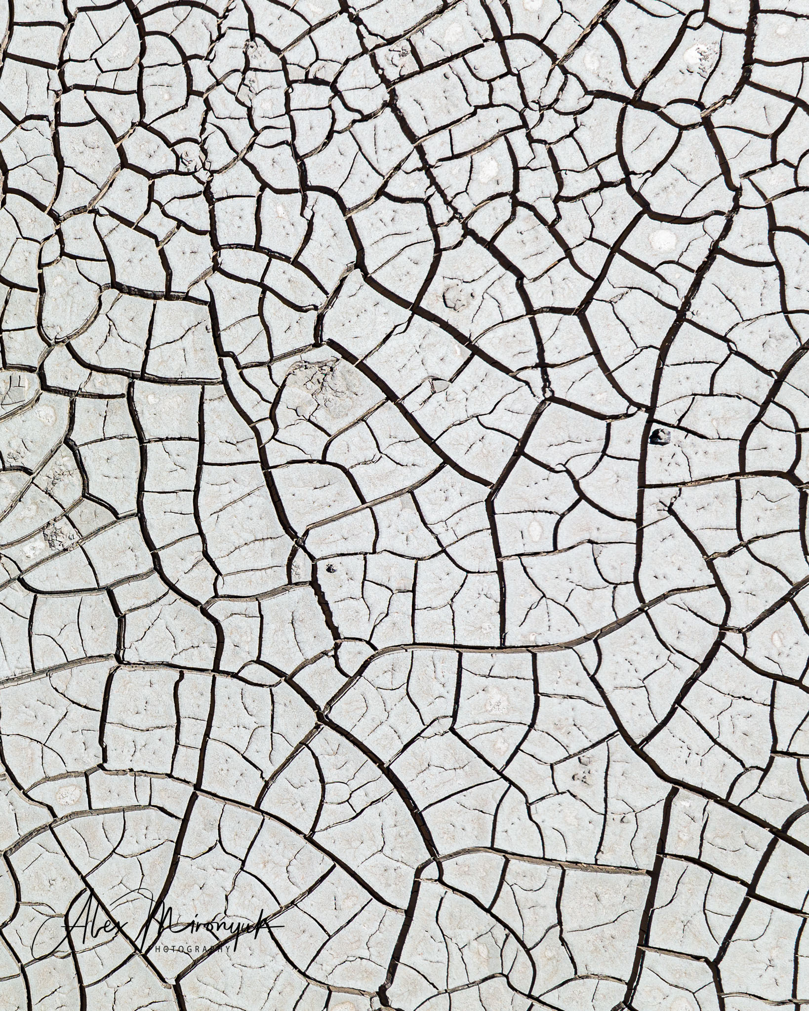 Unknown Northern Argentina. Pet, Senior, Landscape, portrait studio, photographer in Miami and Sou