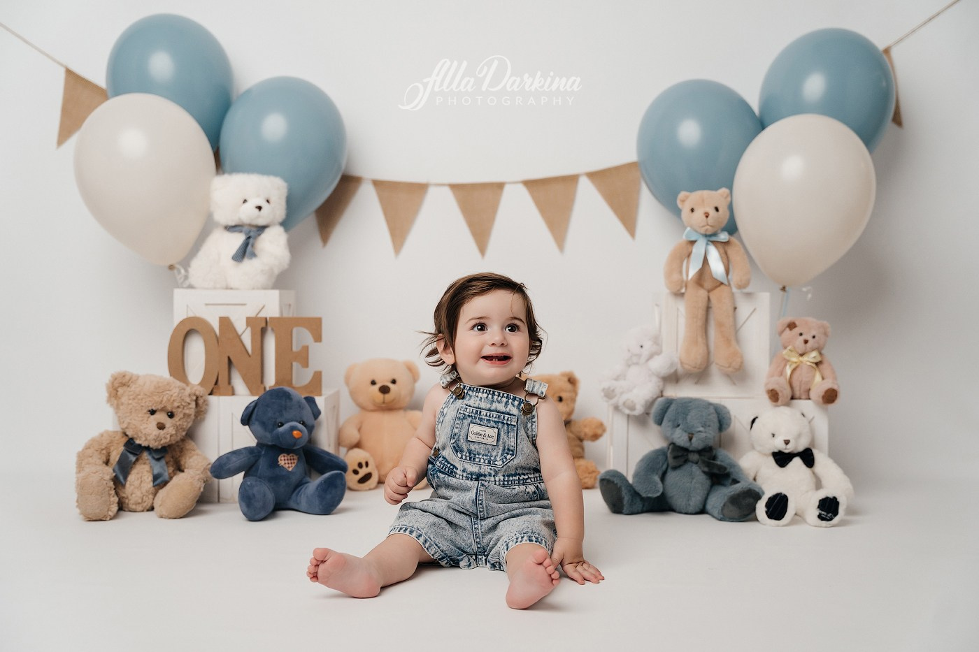 Teddy bear cake smash session. Newborn and family photographer. Hills District. Sydney
