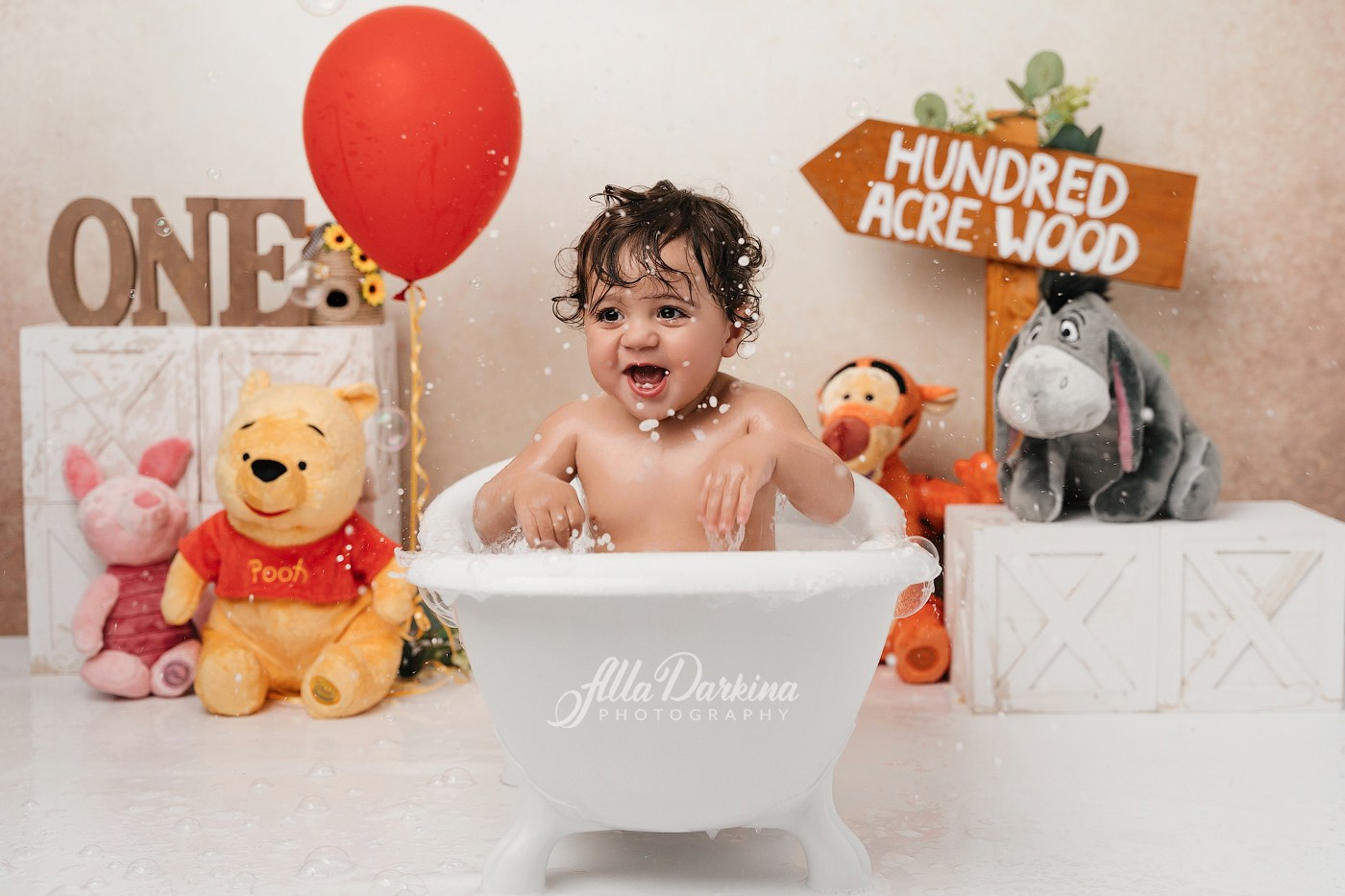 Winnie The Pooh cake smash session. Newborn and family photographer. Hills District. Sydney