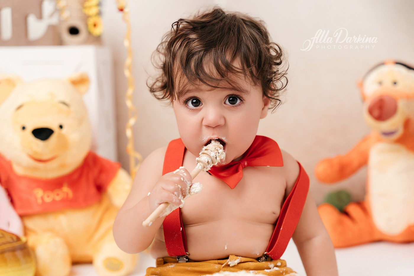 Winnie The Pooh cake smash session. Newborn and family photographer. Hills District. Sydney