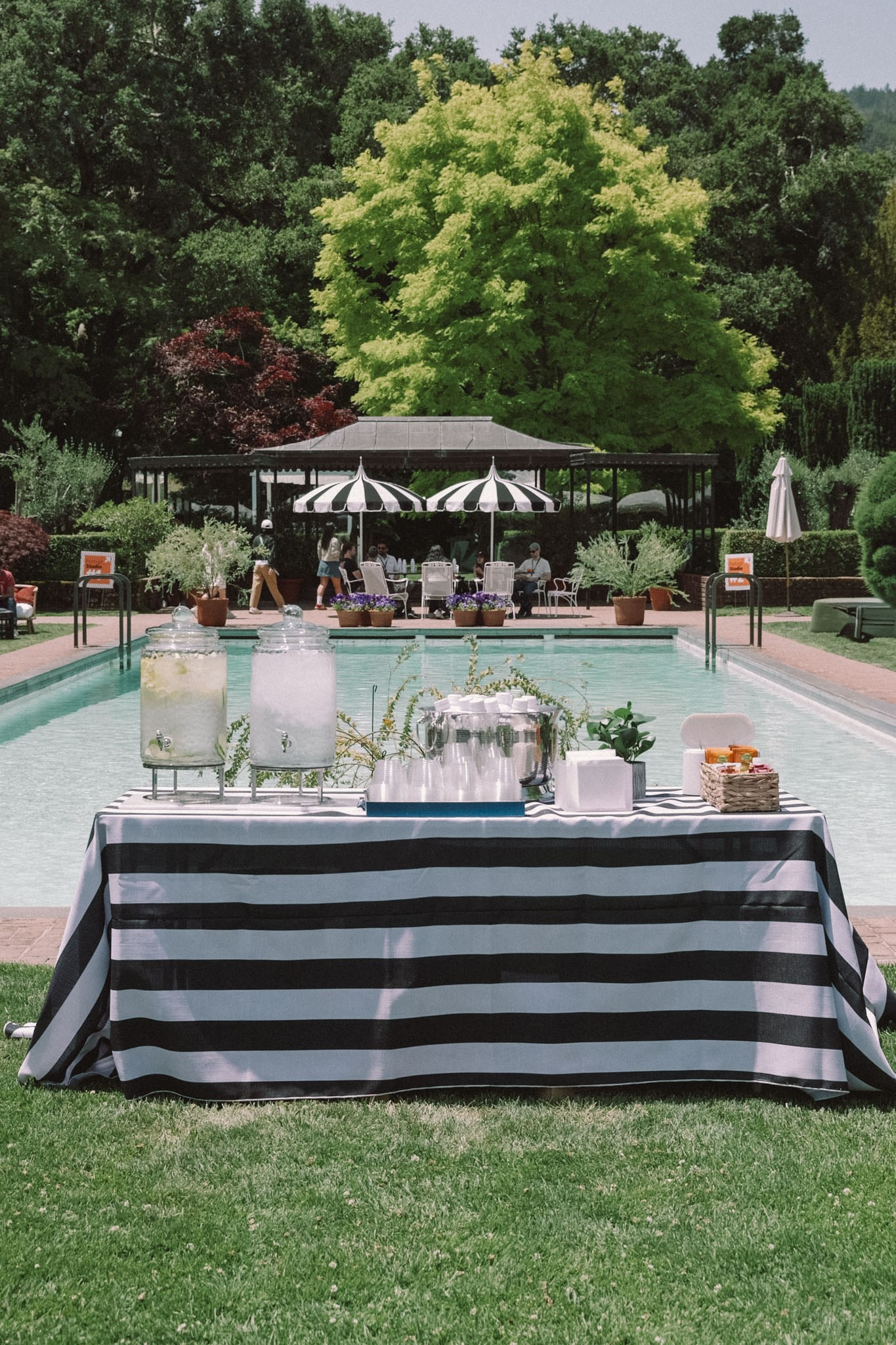 Events. Daniel Vegera — Artistic & Business Photography in San Francisco