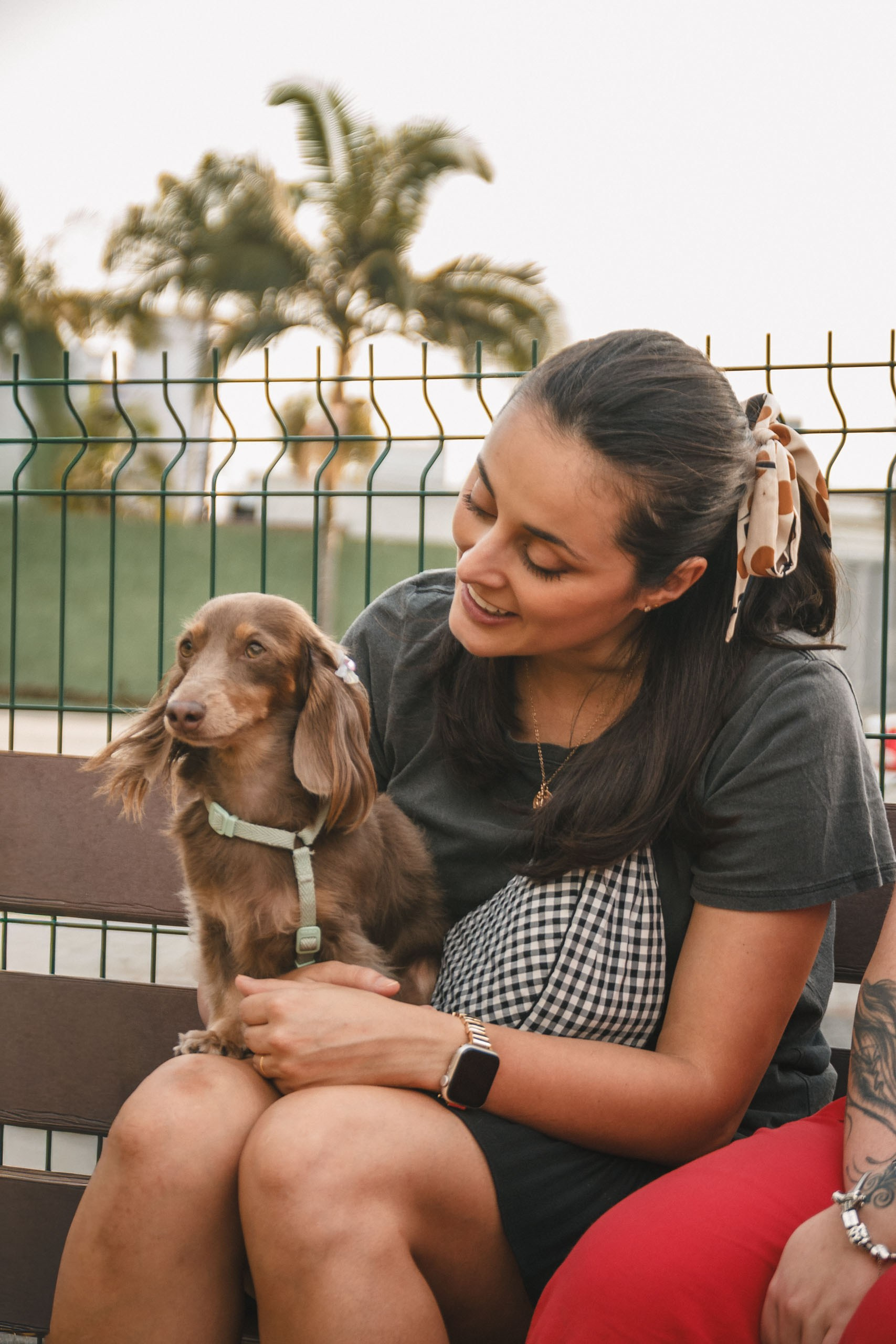 Qualidade de vida e bem-estar do Dachshund. Marcus Monteiro Fotografia