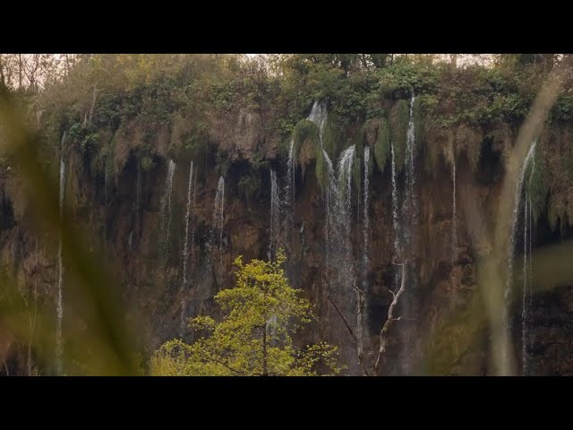 Osobni video projekti