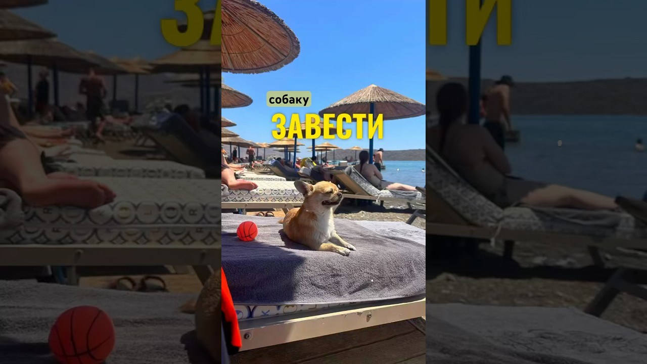 UGC Content Creator | Lifestyle & Restaurant Content