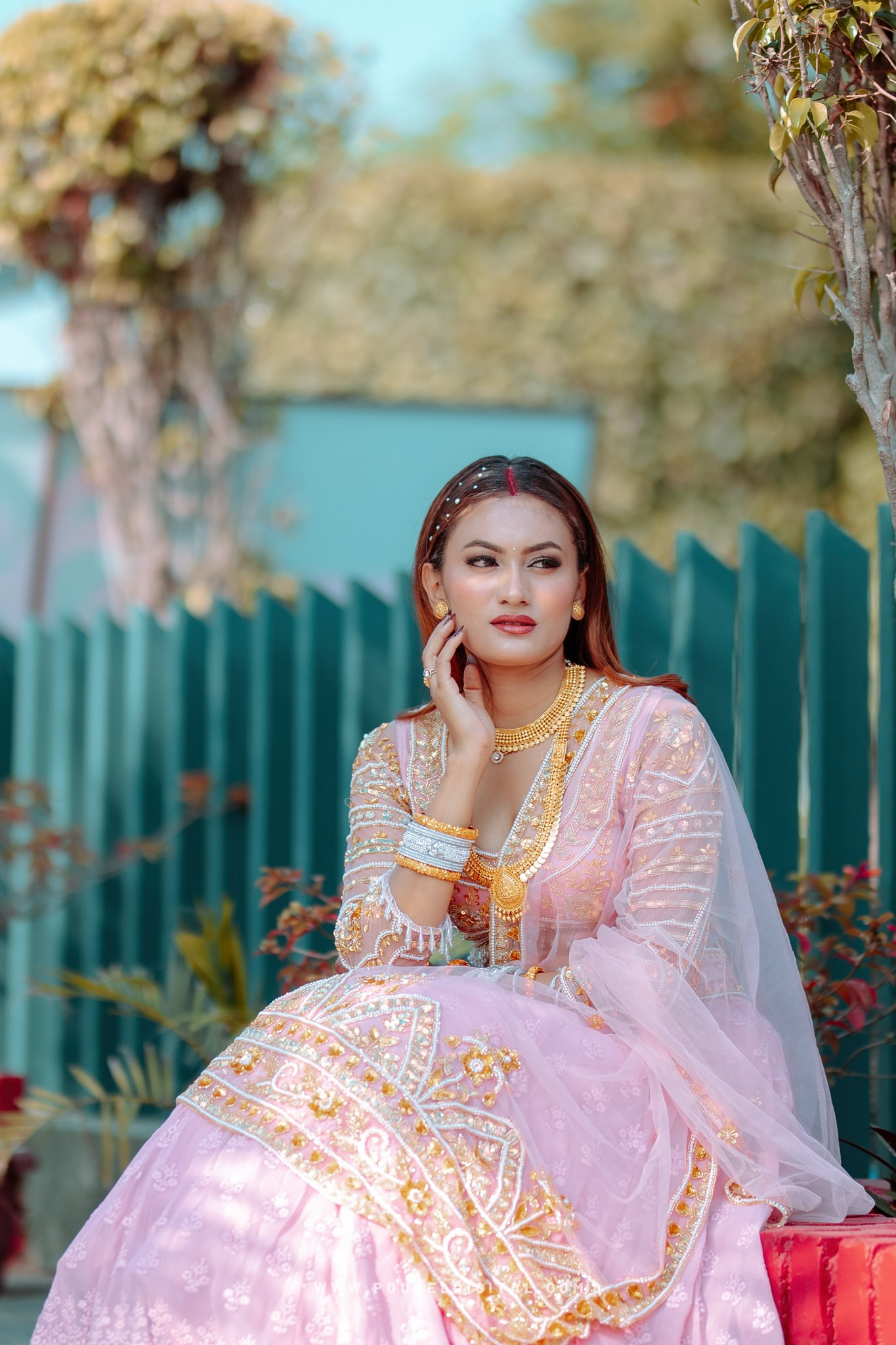 Poudel Digital Photography