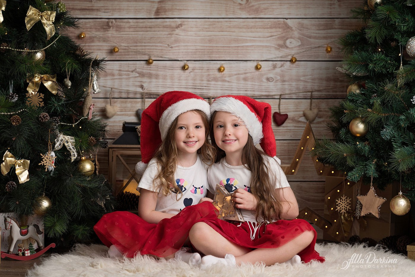 Christmas mini sessions 2025| Sydney. Newborn and family photographer. Hills District. Sydney