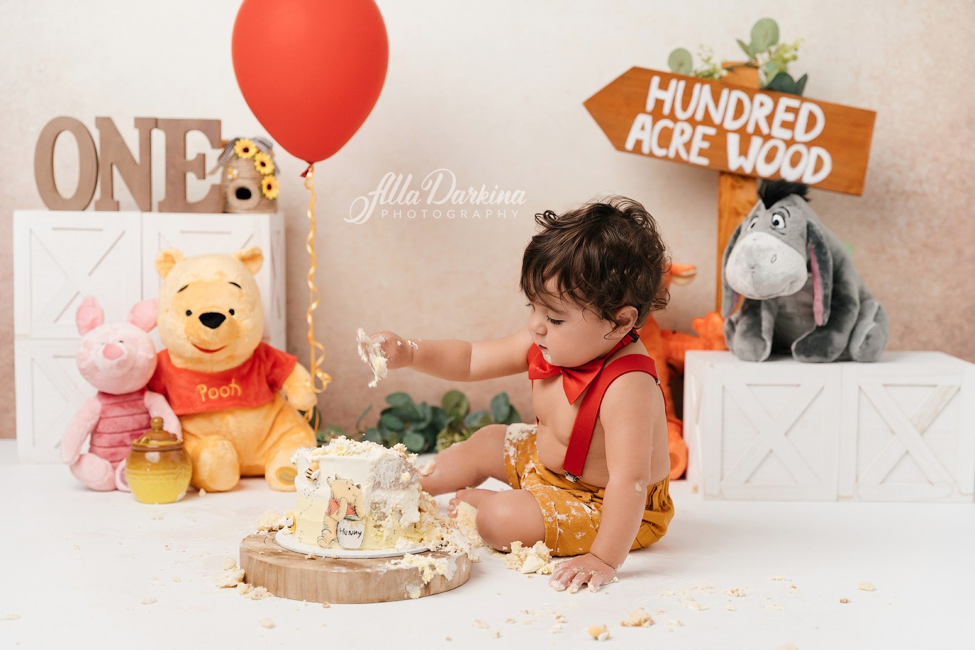 Winnie The Pooh cake smash session. Newborn and family photographer. Hills District. Sydney