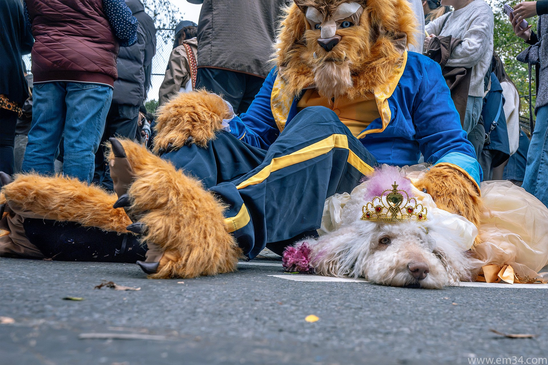 New York Street Photography: Candid Moments in Manhattan