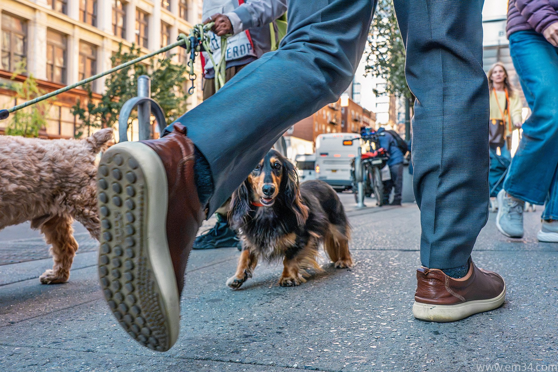New York Street Photography: Candid Moments in Manhattan