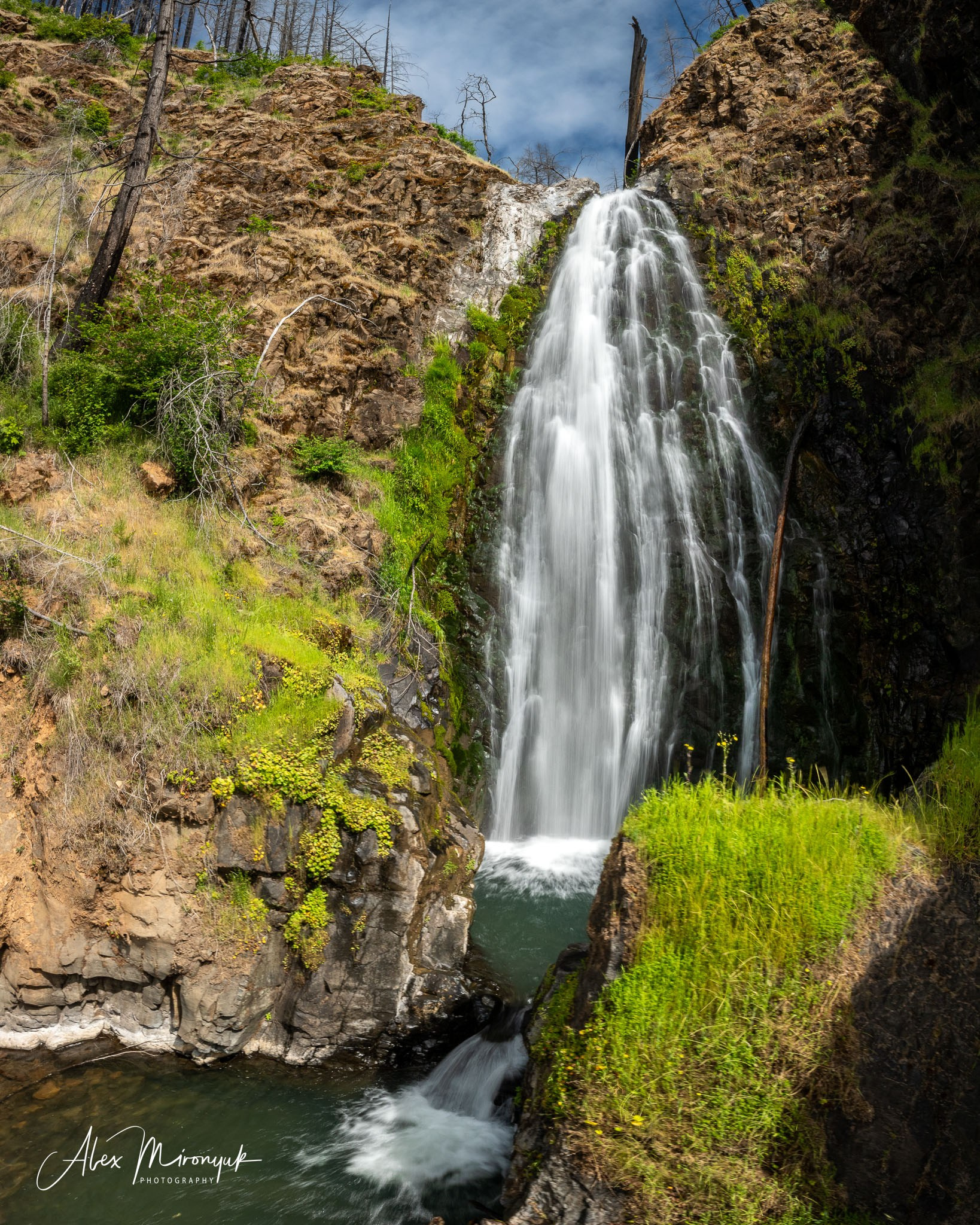 From Crater Lake to the Coast — A Photographer’s Journey. Pet, Senior, Landscape, portrait studio, photographer in Miami and Sou