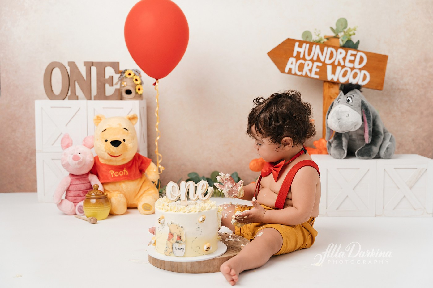 Winnie The Pooh cake smash session. Newborn and family photographer. Hills District. Sydney