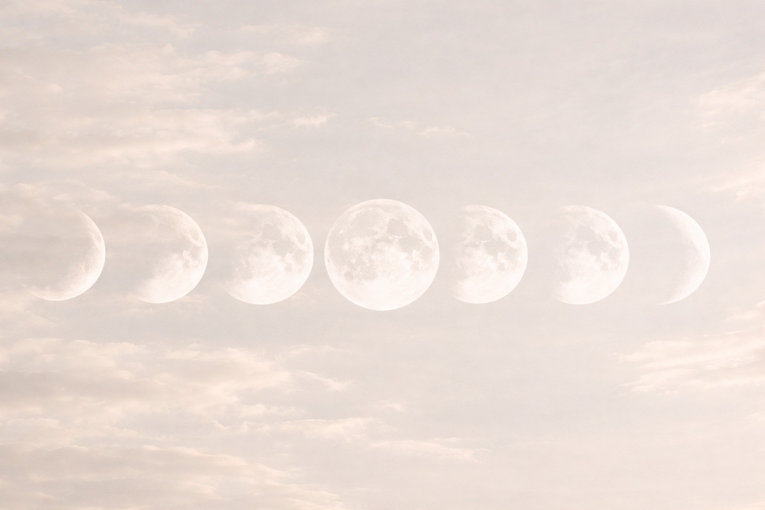 Магазин. Наталья Дамаскина, и я больше, чем психолог