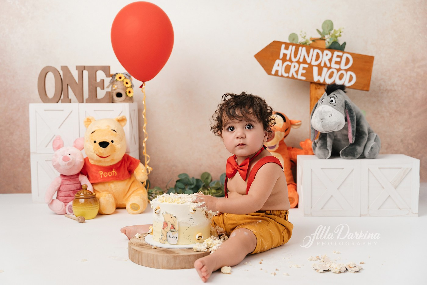 Winnie The Pooh cake smash session. Newborn and family photographer. Hills District. Sydney