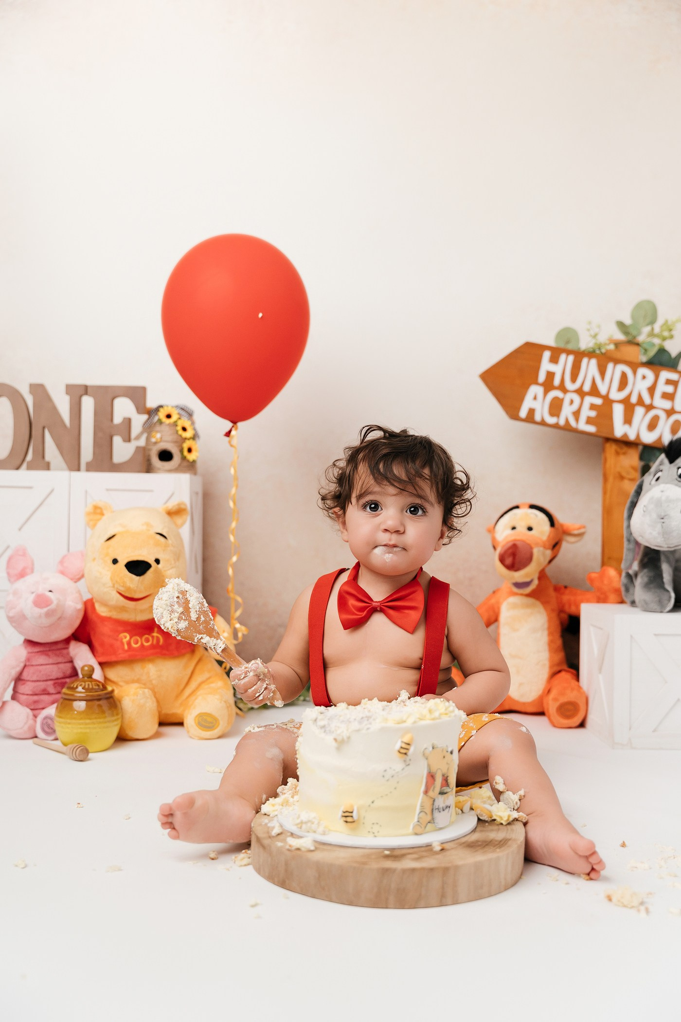Winnie The Pooh cake smash session. Newborn and family photographer. Hills District. Sydney