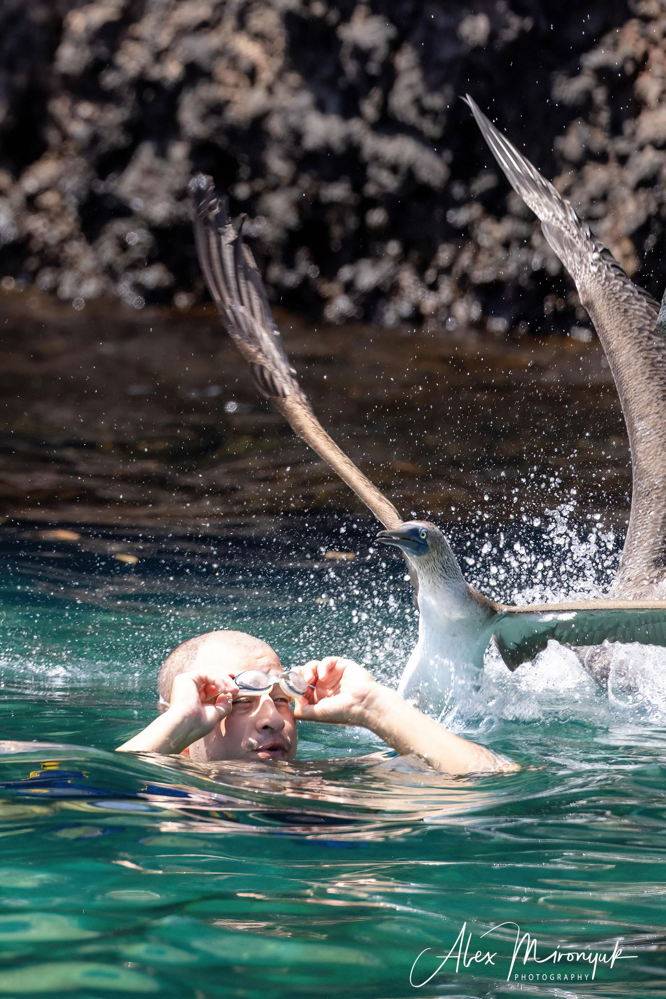 Galapagos Islands Adventure. Alex Mironyuk Photography