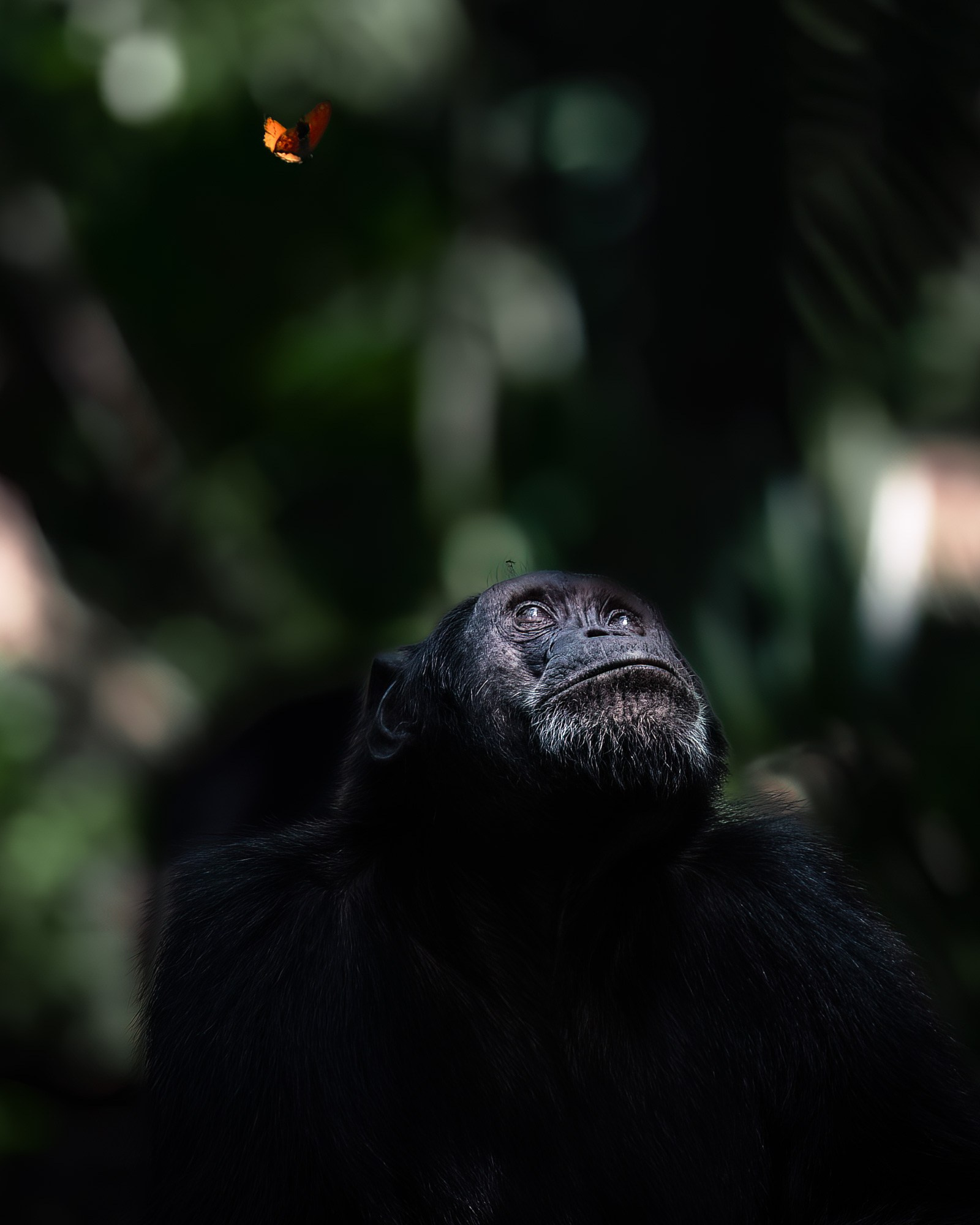 TRIPS. Fine art wildlife photographer Alexandra Surkova