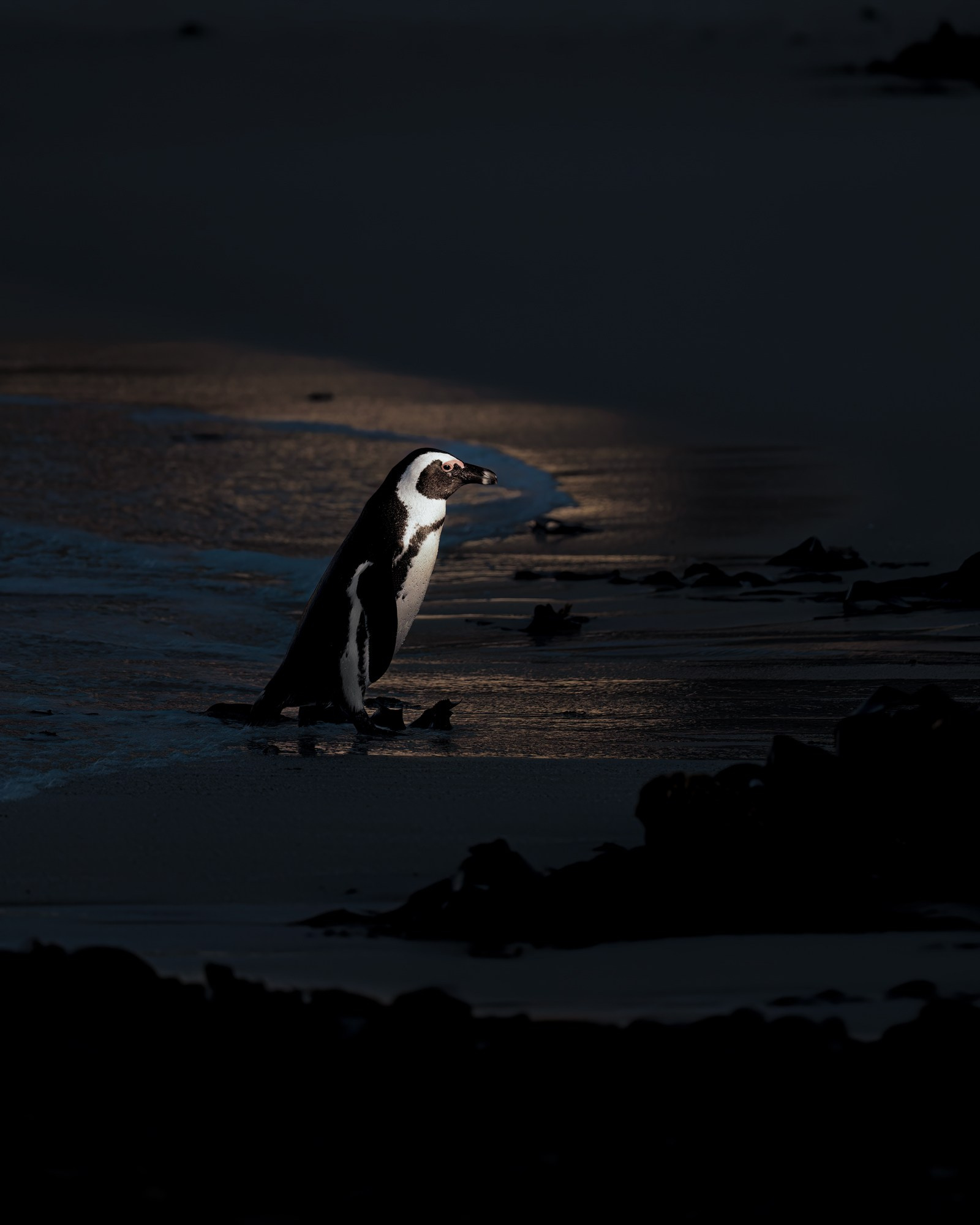 TRIPS. Fine art wildlife photographer Alexandra Surkova