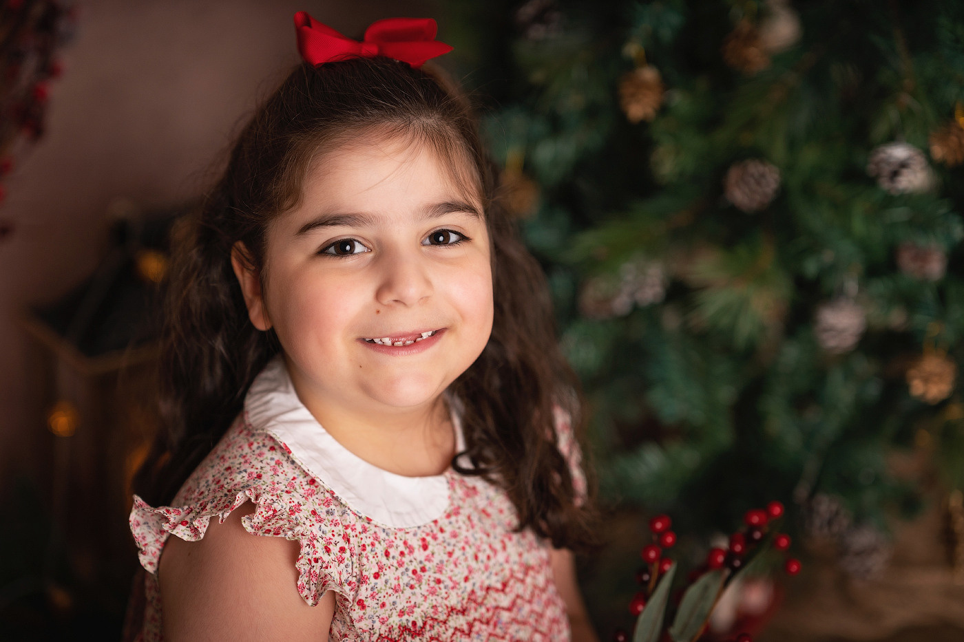 Christmas mini sessions 2025| Sydney. Newborn and family photographer. Hills District. Sydney