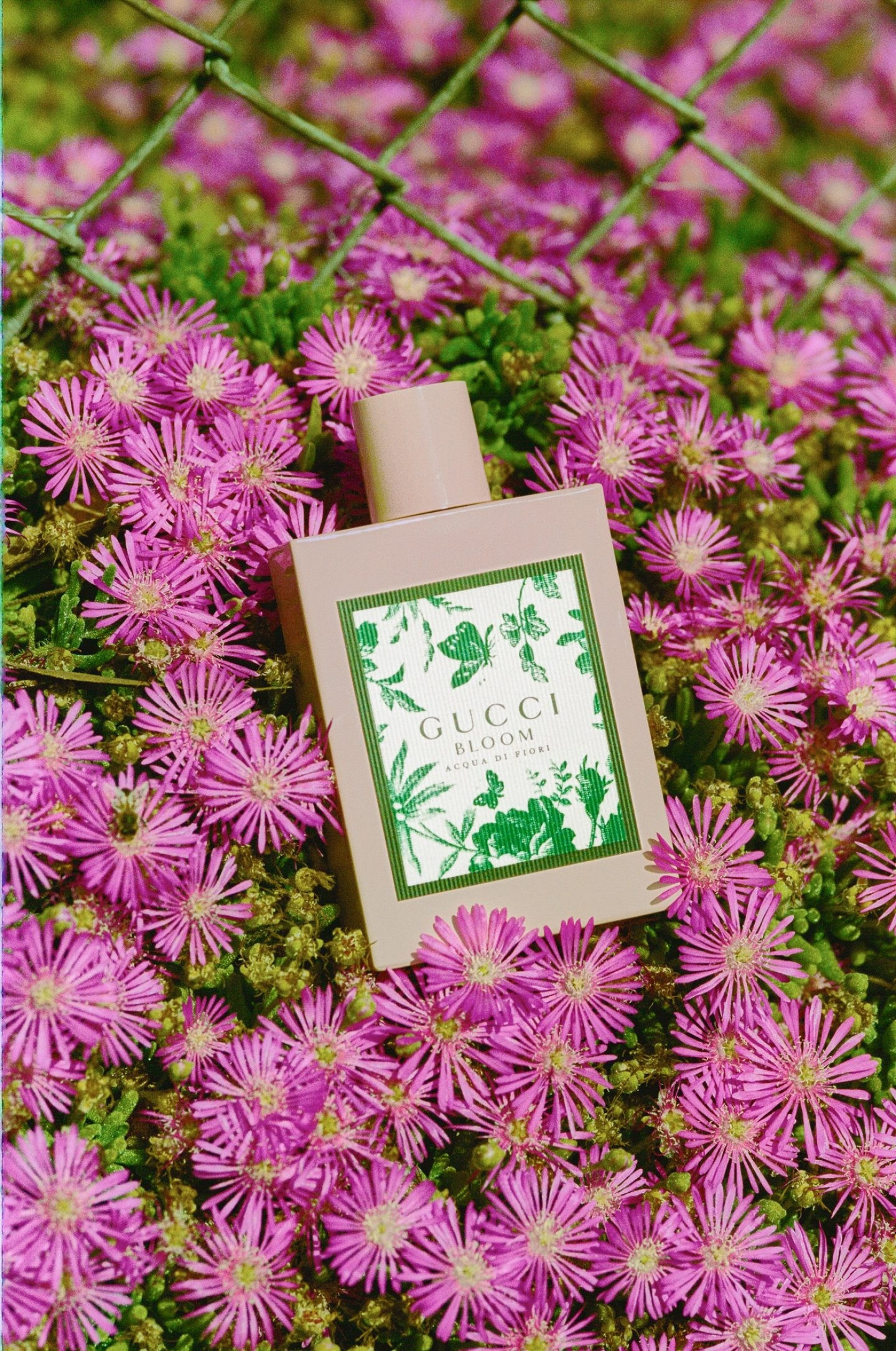 FAMILY FILMS. Adeliia Korinkova — нейро-креативный продюсер в Праге. Визуальная идентичность, AI-креативы и рекламные ролики для брендов