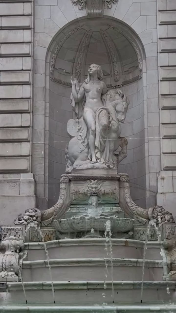 Video. Wedding Photo & Video