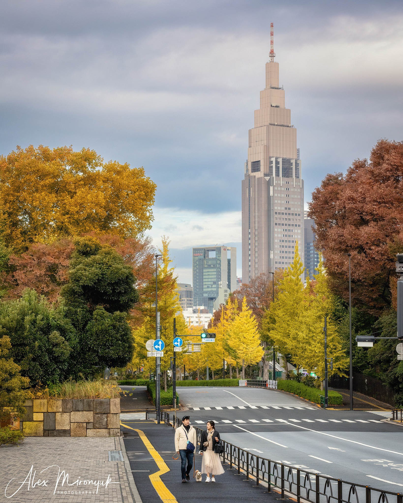 Autumn Colors of Japan. Pet, Senior, Landscape, portrait studio, photographer in Miami and Sou