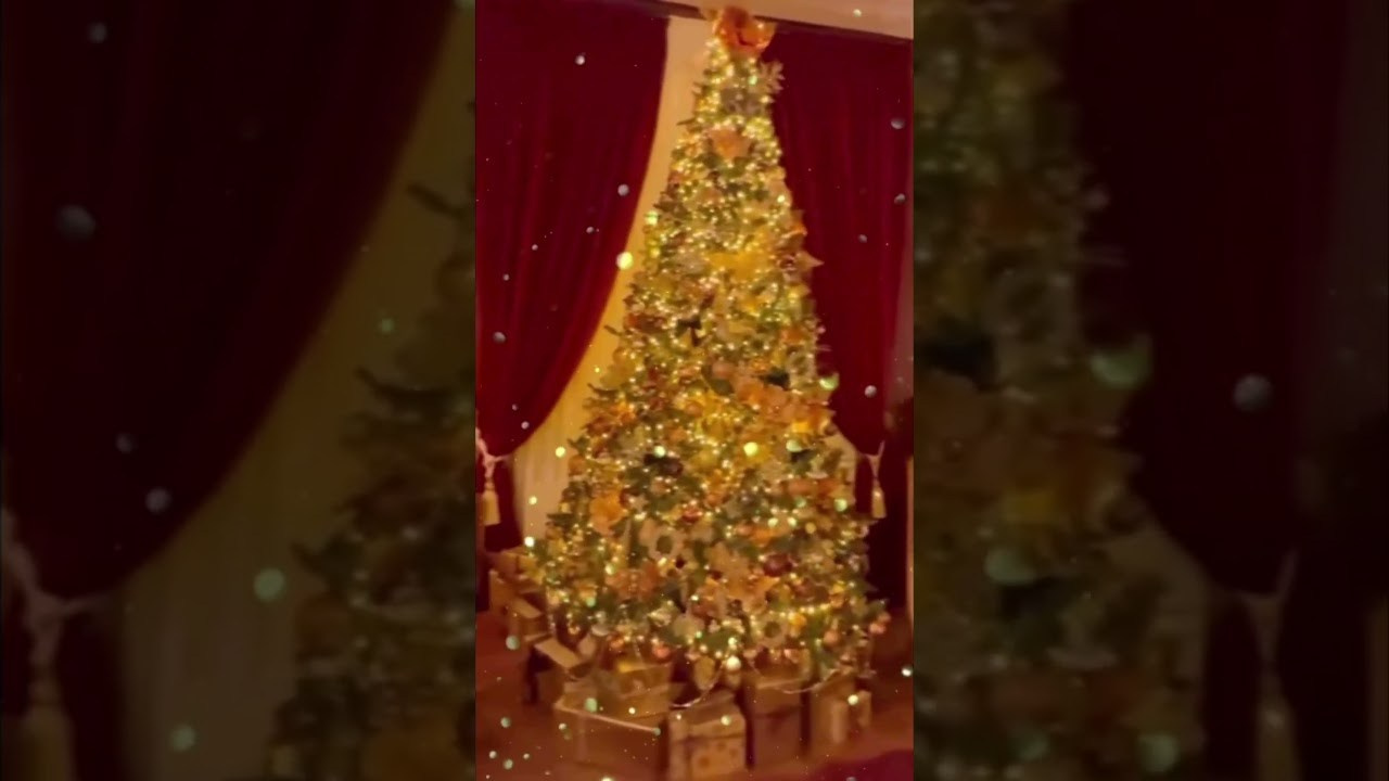 Sedinte foto Craciun Bucuresti