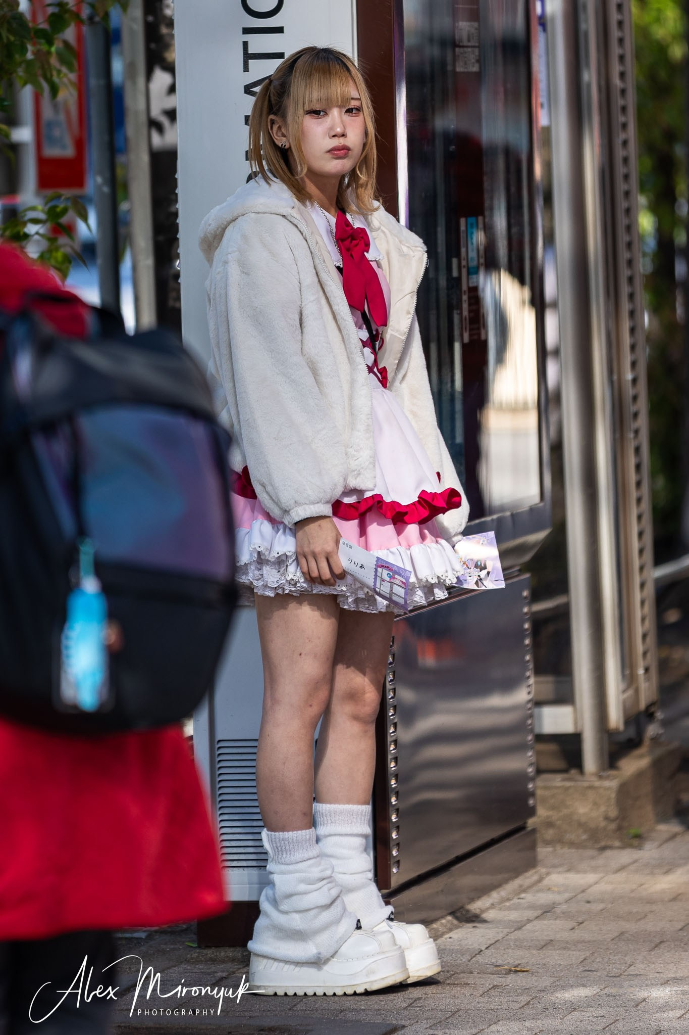 Autumn Colors of Japan. Pet, Senior, Landscape, portrait studio, photographer in Miami and Sou