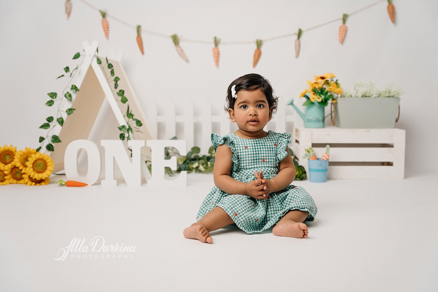 First birthday celebration. Newborn and family photographer. Hills District. Sydney