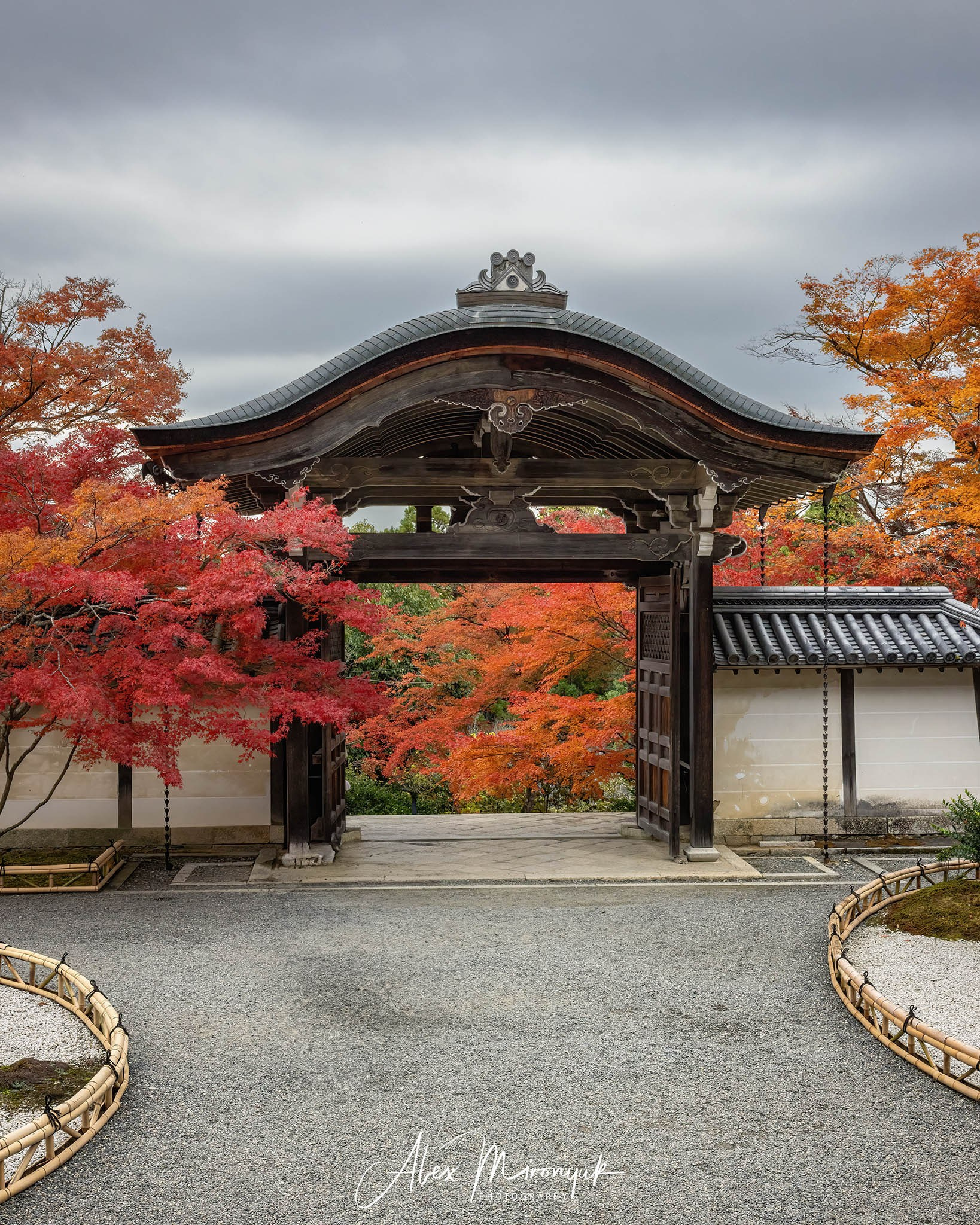 Autumn Colors of Japan. Pet, Senior, Landscape, portrait studio, photographer in Miami and Sou