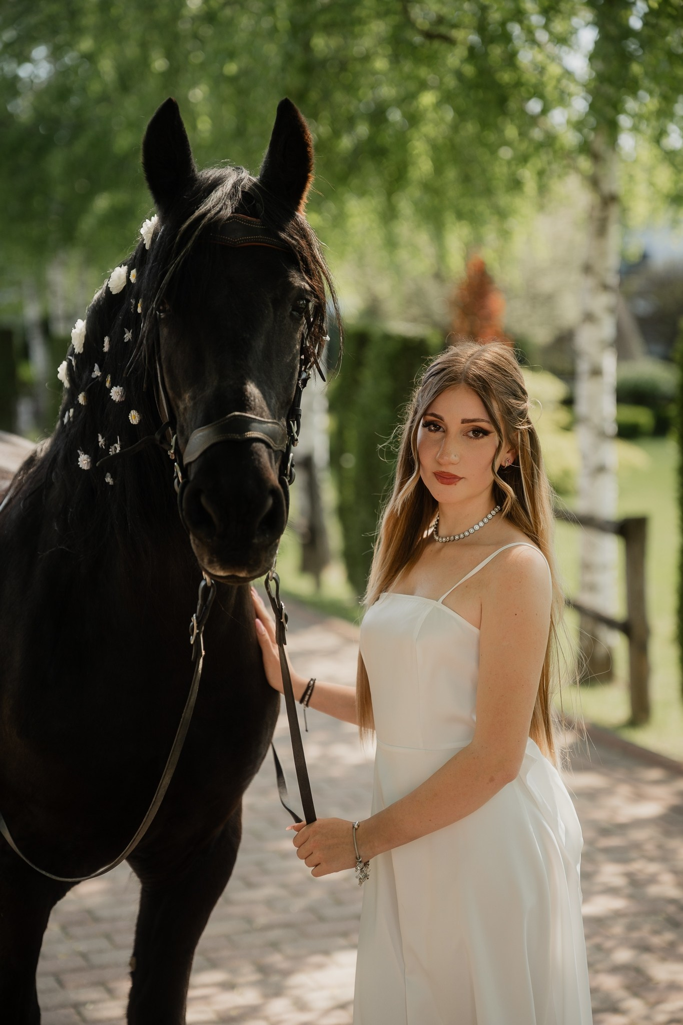 Albume Elevi. Visuals of Theodor — Wedding Photographer