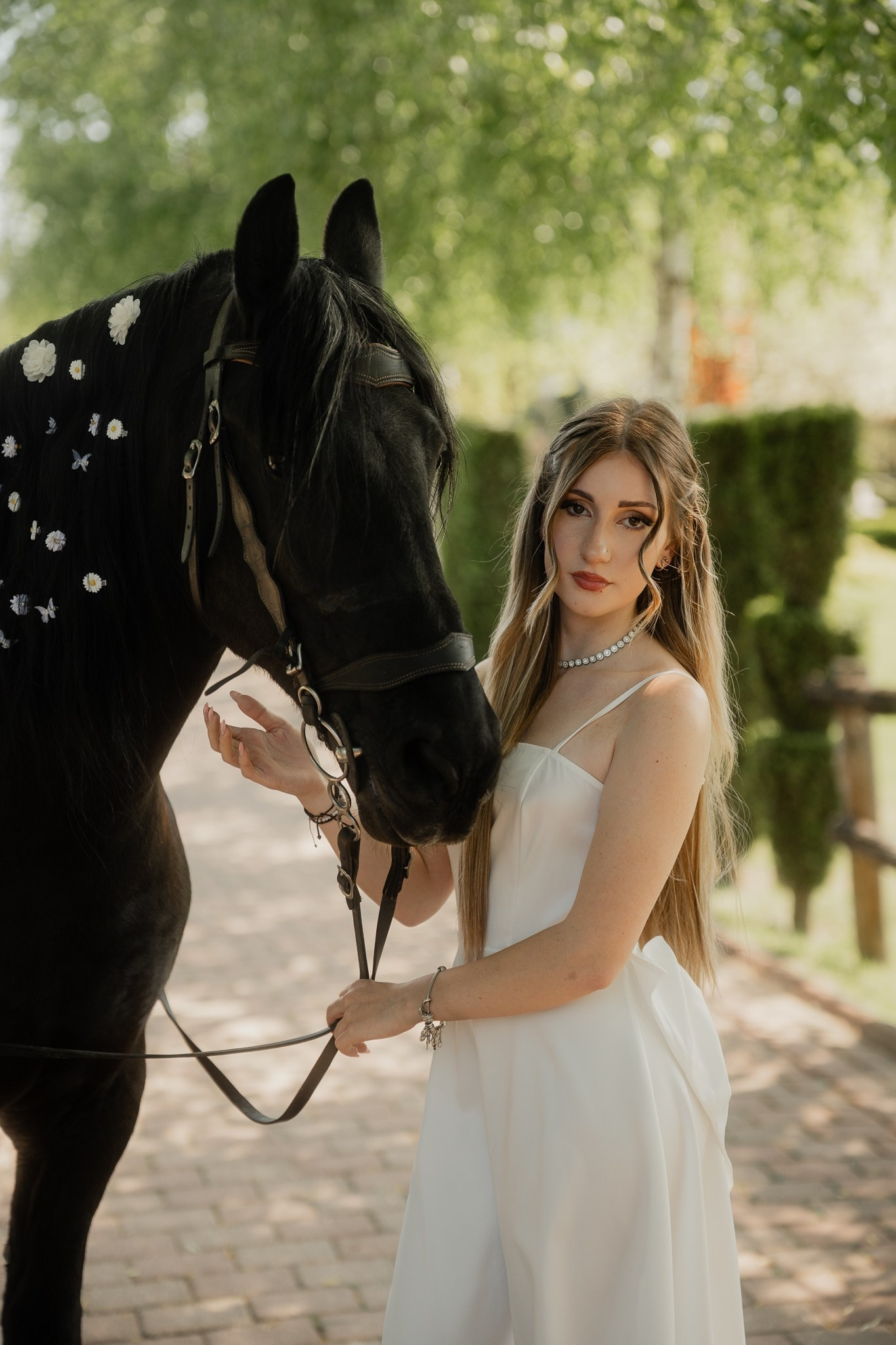 Albume Elevi. Visuals of Theodor — Wedding Photographer