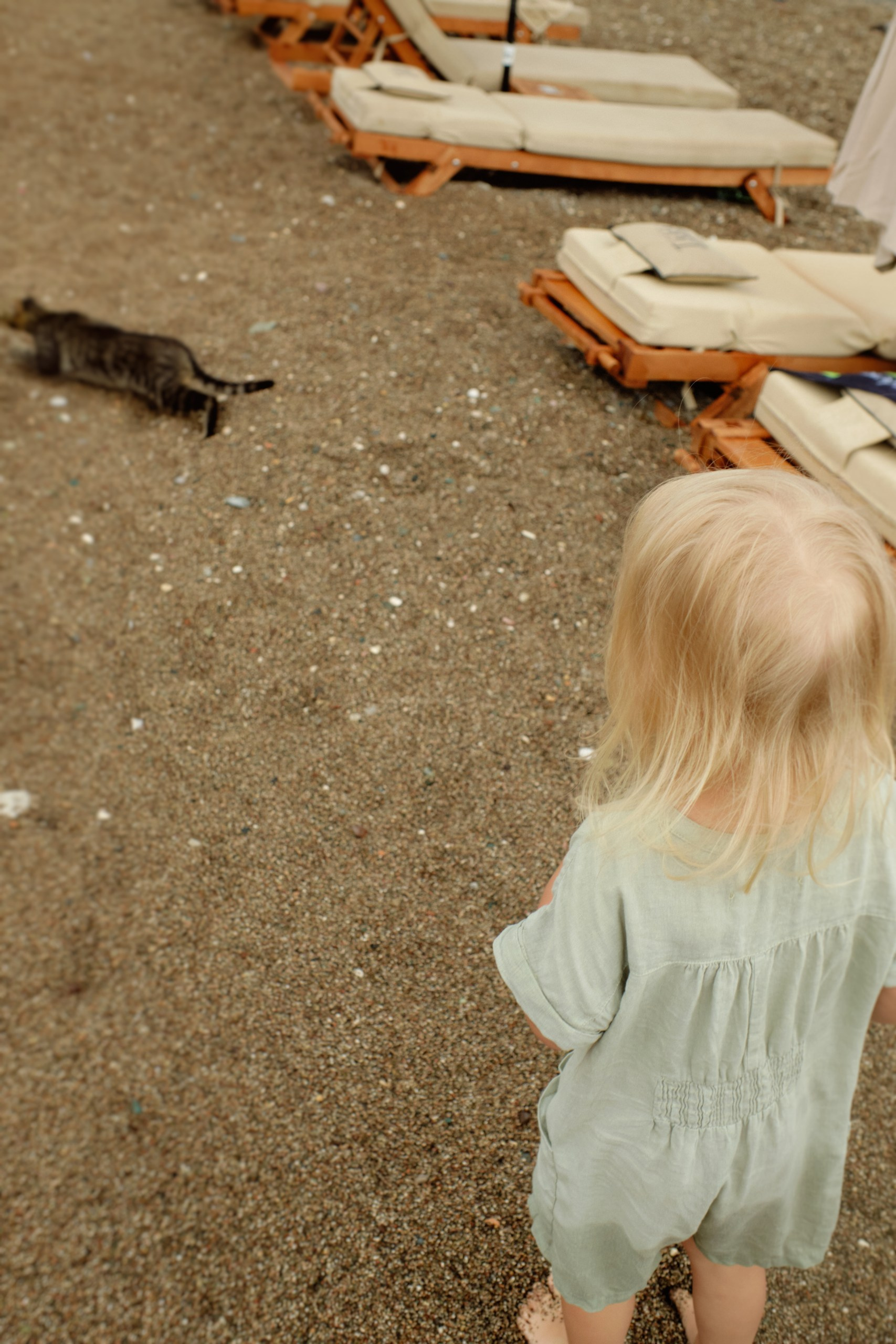 Family portrait. Photographer, photo artist Alena Novgorodtseva