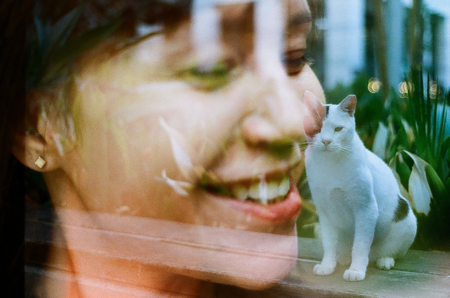 Условия и цены. Film photographer