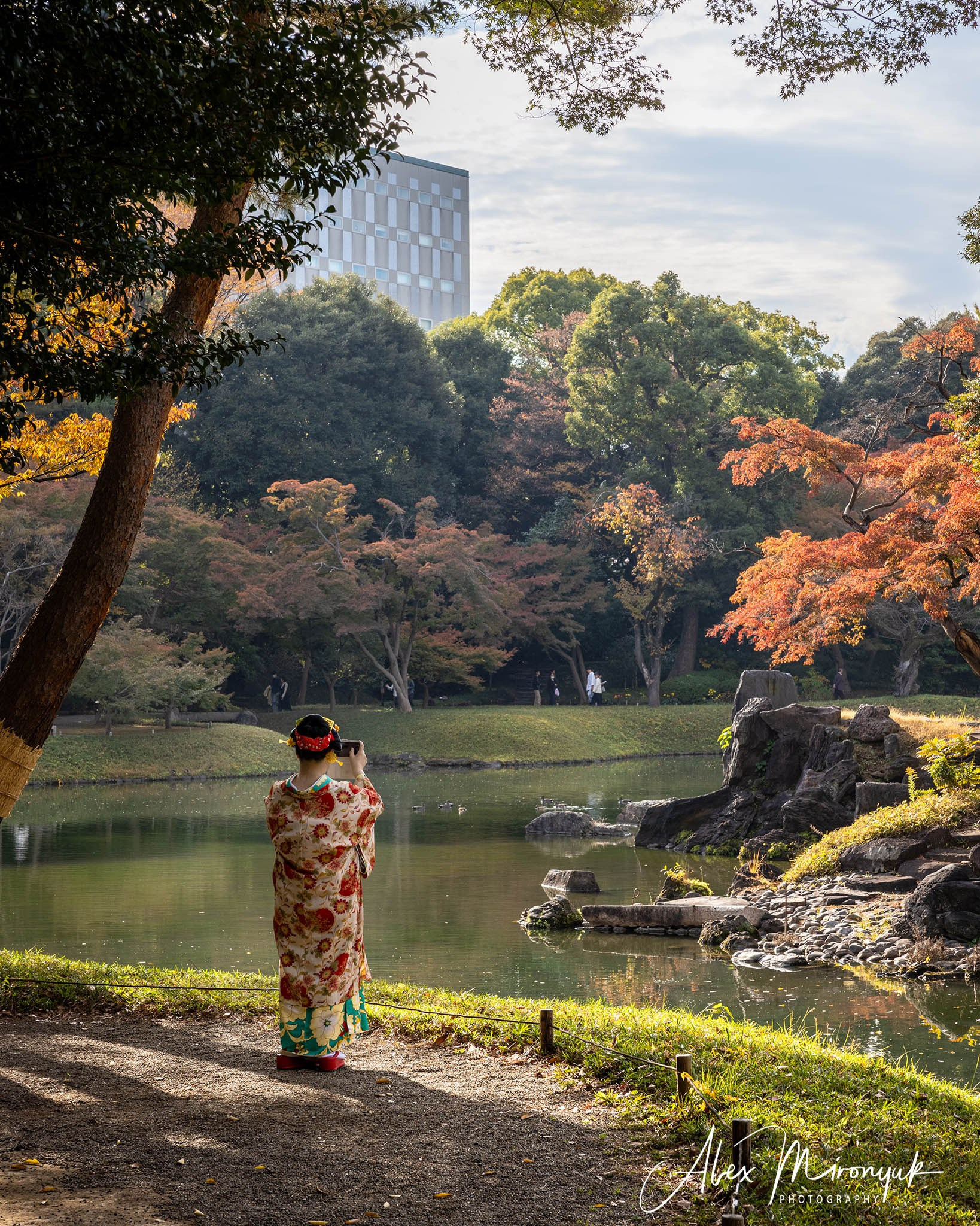 Autumn Colors of Japan. Pet, Senior, Landscape, portrait studio, photographer in Miami and Sou