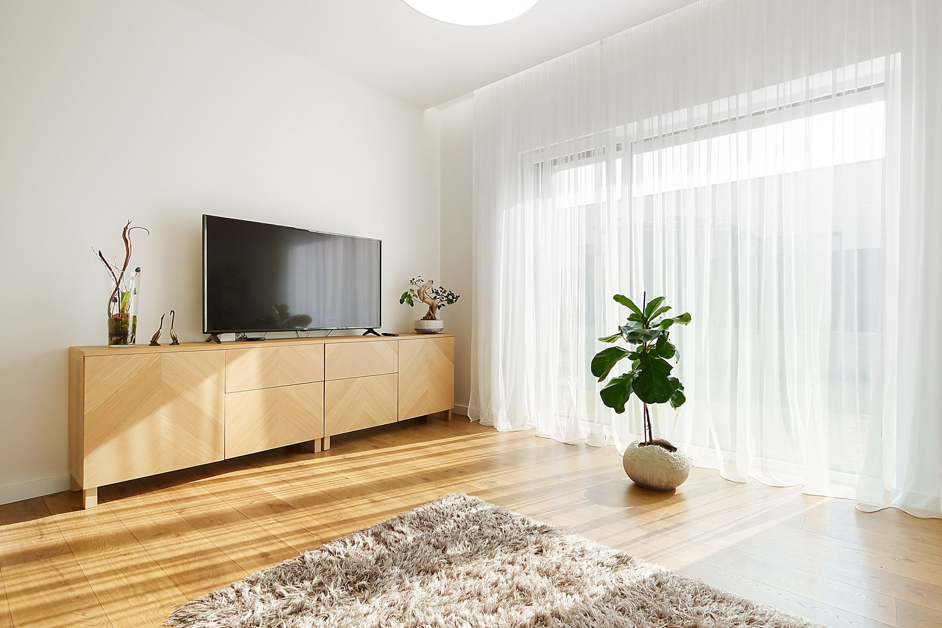 Elina Sapiega fotografė Vilniuje