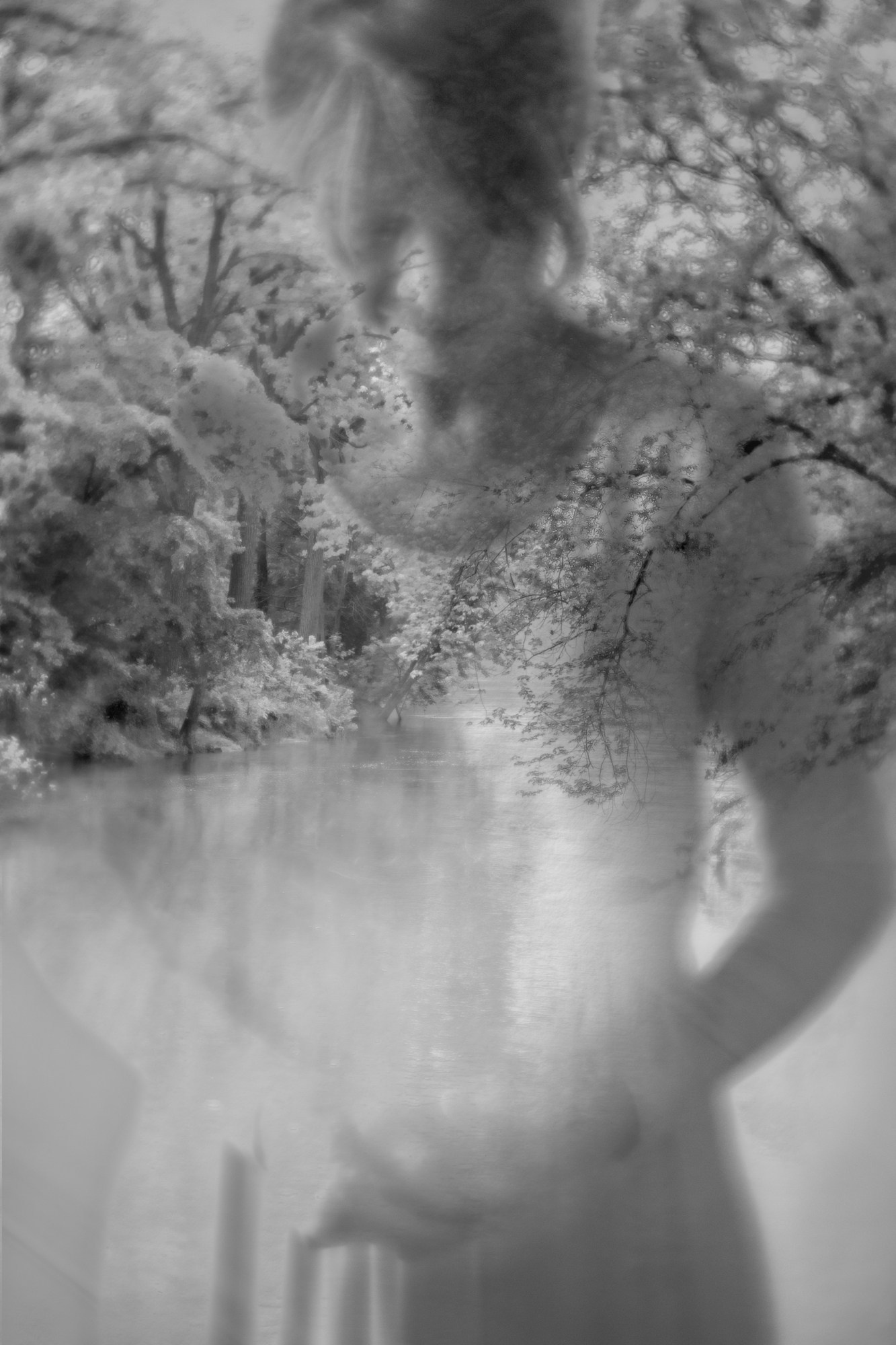 Photo by Nancy Rosene